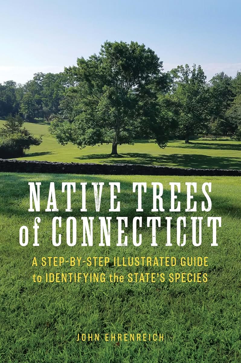 Native Trees of Connecticut: A Step-by-Step Illustrated Guide to Identifying the States Species