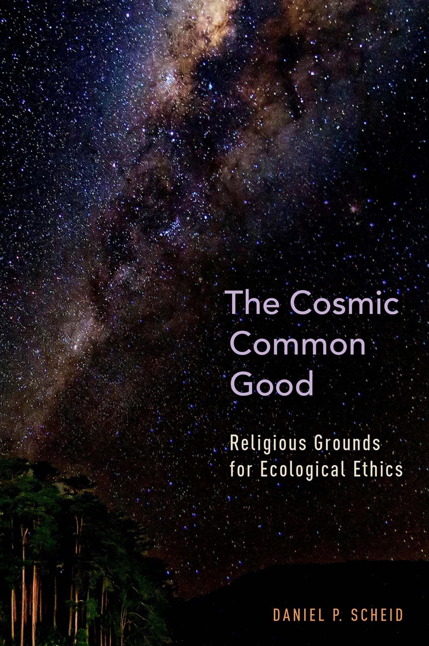 The Cosmic Common Good: Religious Grounds for Ecological Ethics