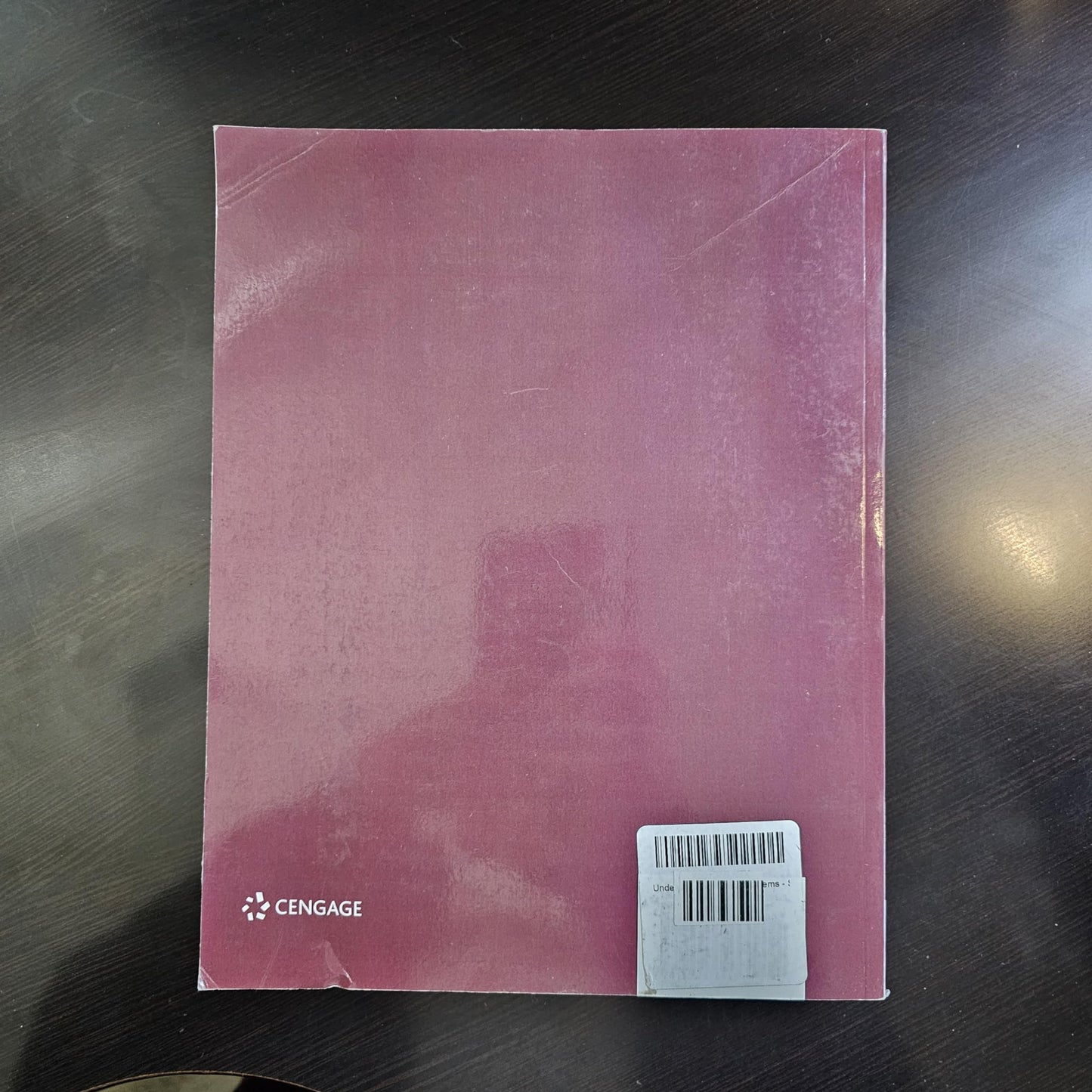 Understanding Social Problems - Standalone Book