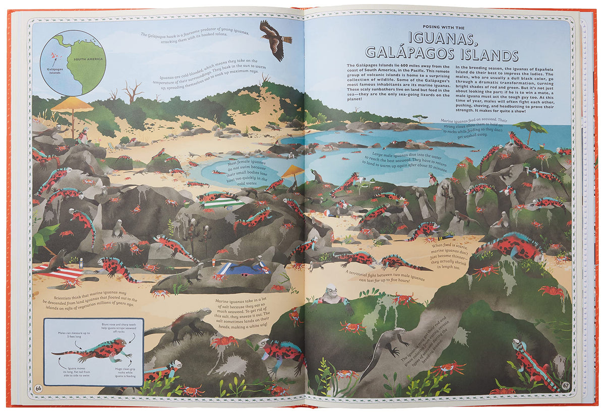 Atlas of Animal Adventures: A collection of nature's most unmissable events, epic migrations and extraordinary behaviours
