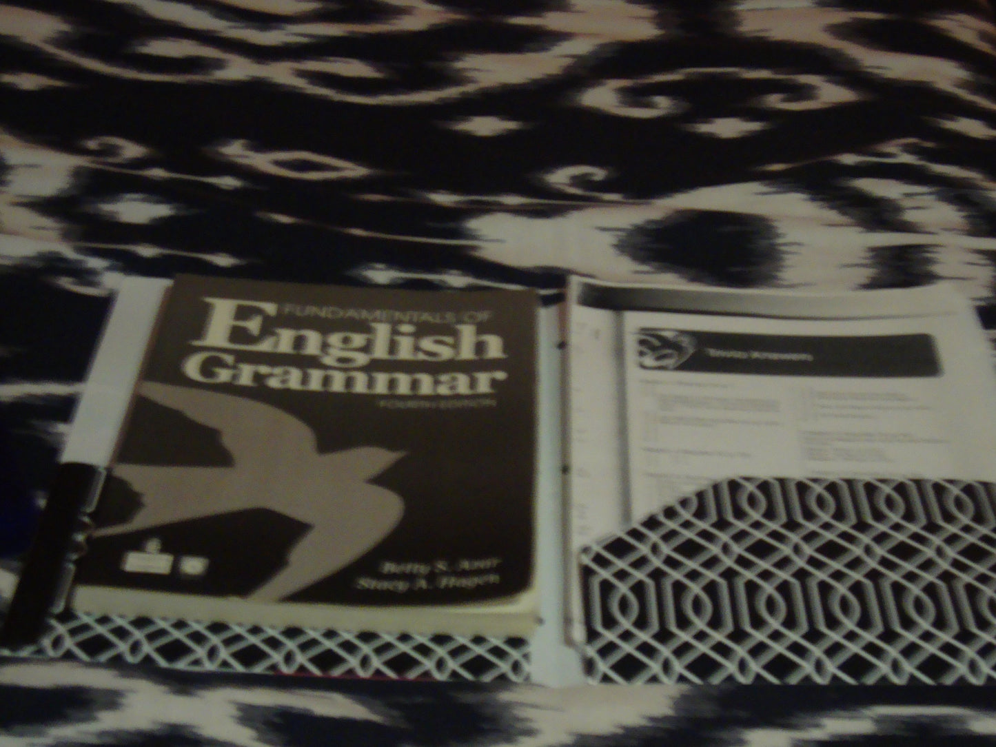 Fundamentals of English Grammar with Audio CDs, without Answer Key (4th Edition)
