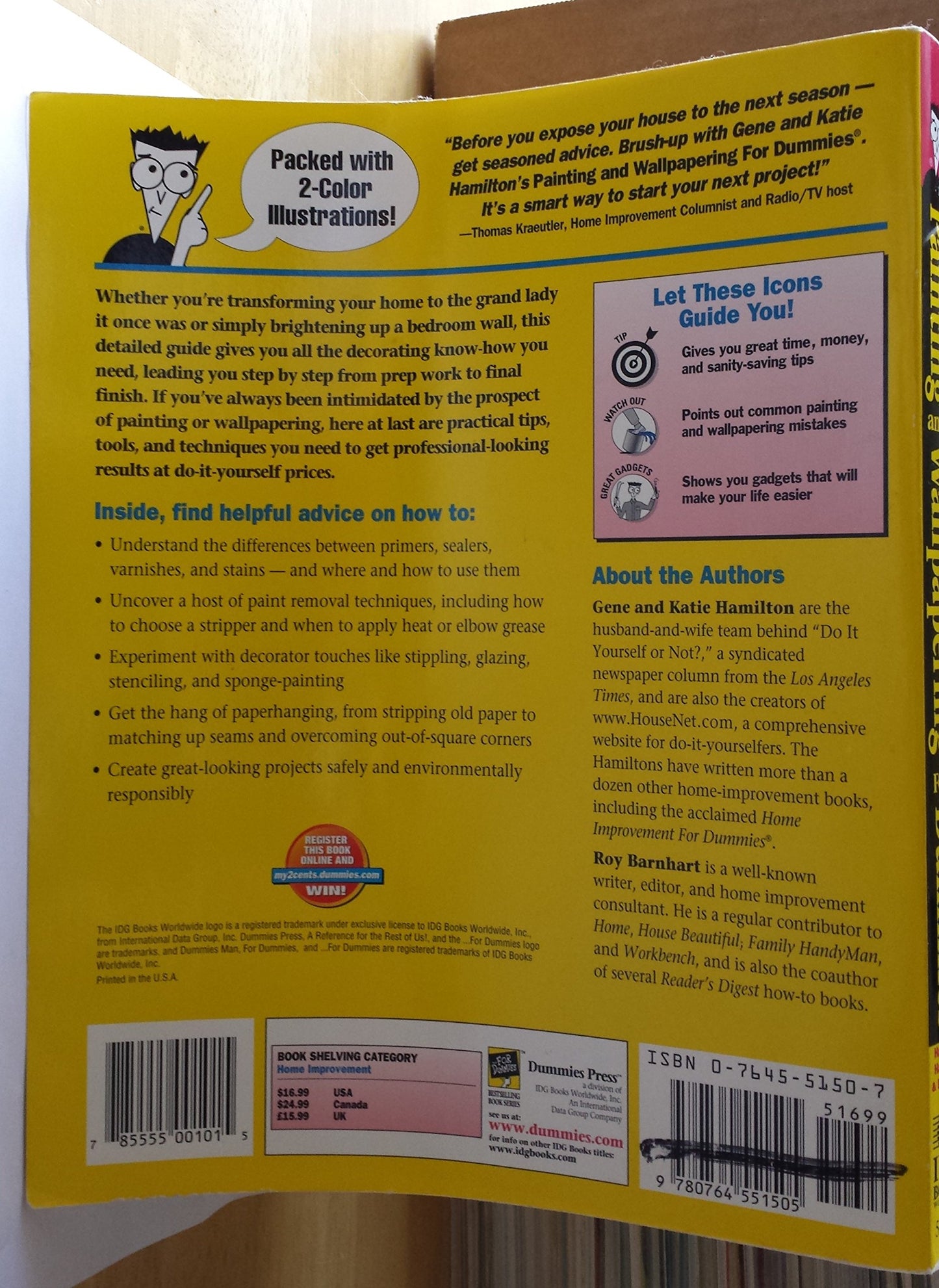 Painting and Wallpapering for Dummies