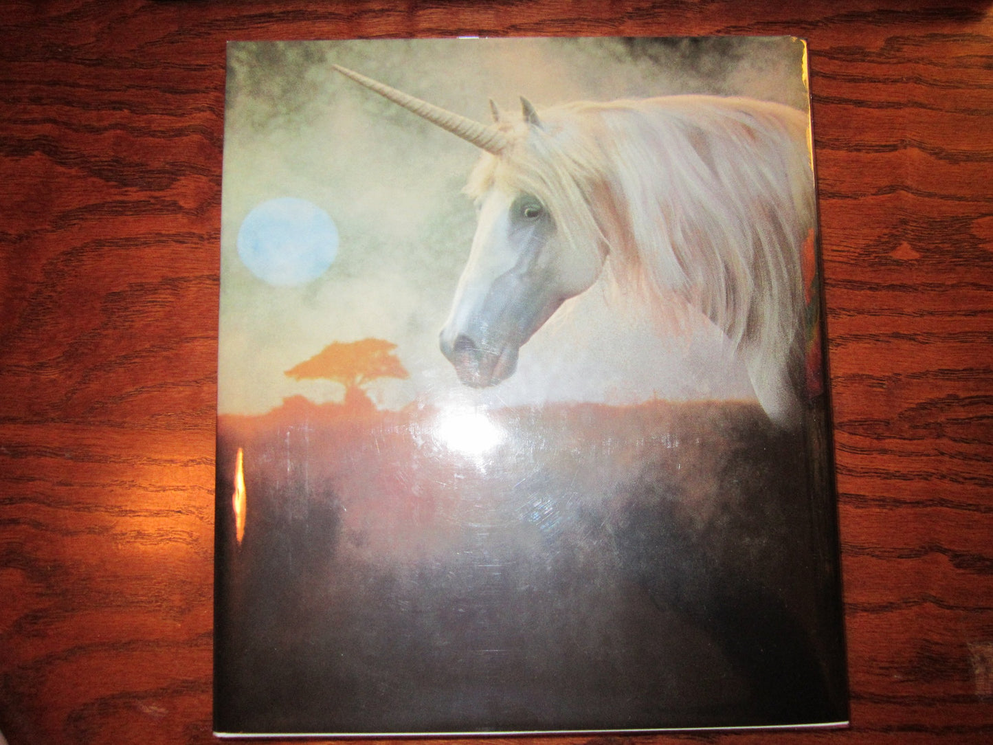 The Unicorn of Kilimanjaro