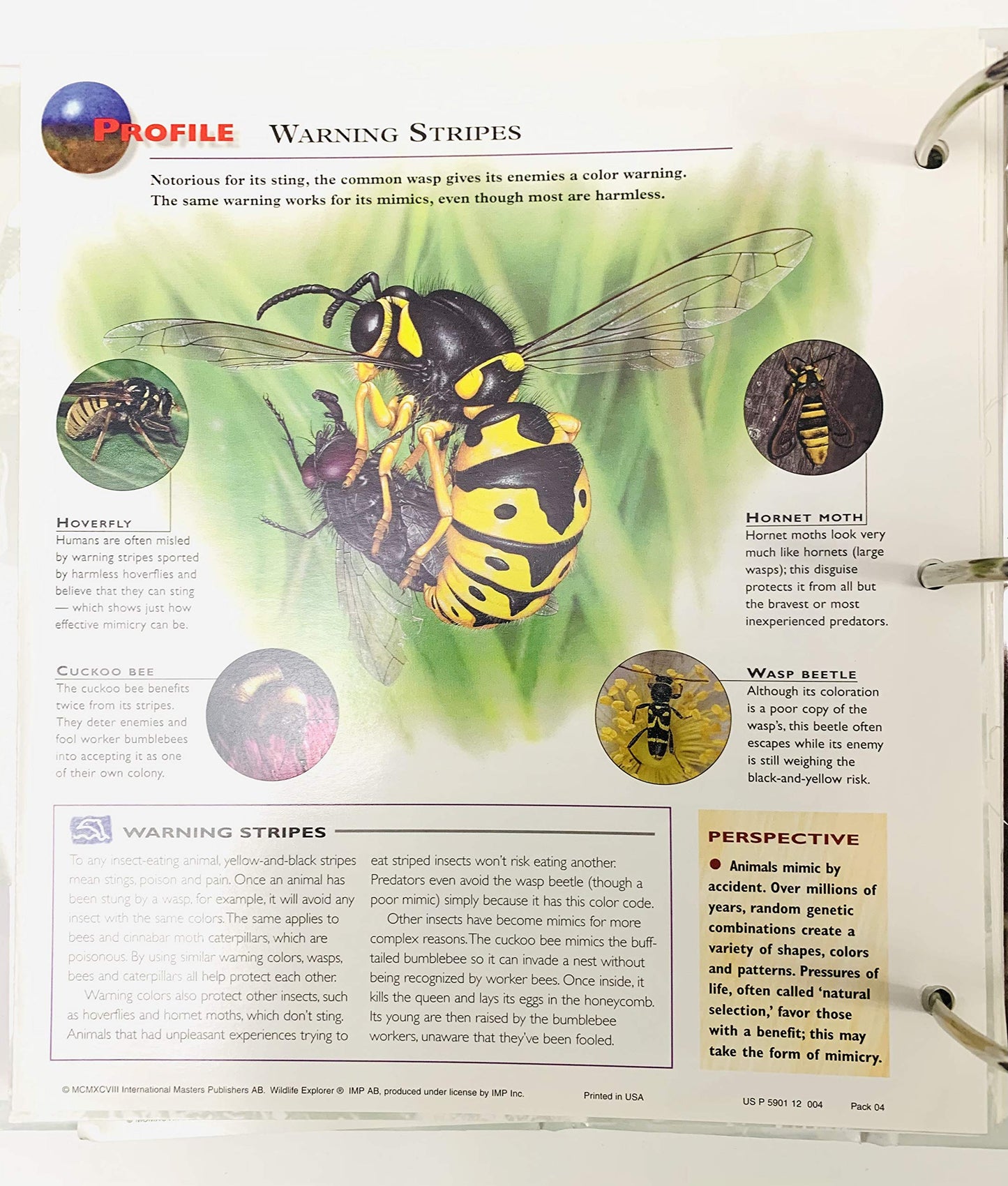 Wildlife Explorer (Group 1 through Group 8)