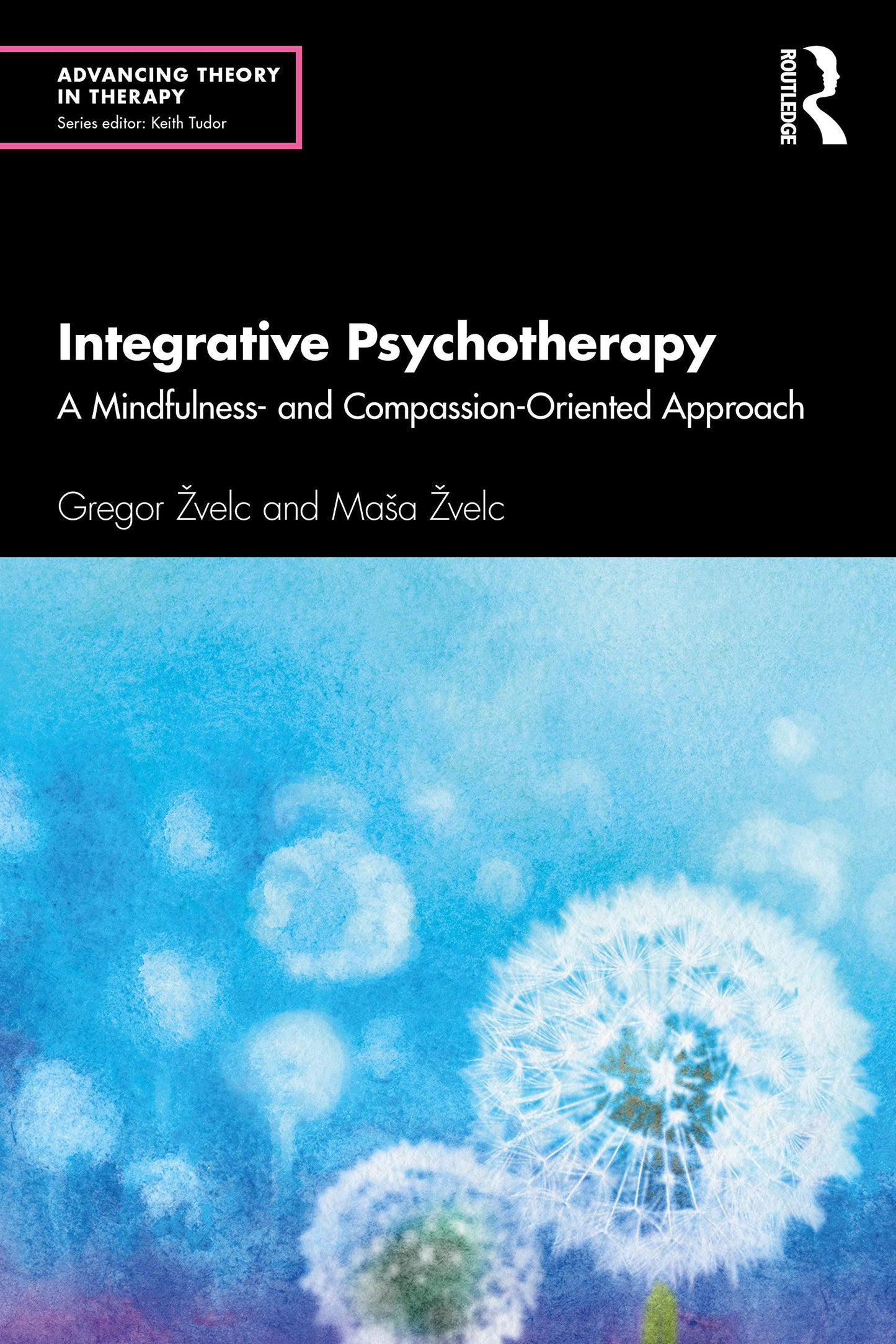 Integrative Psychotherapy (Advancing Theory in Therapy)