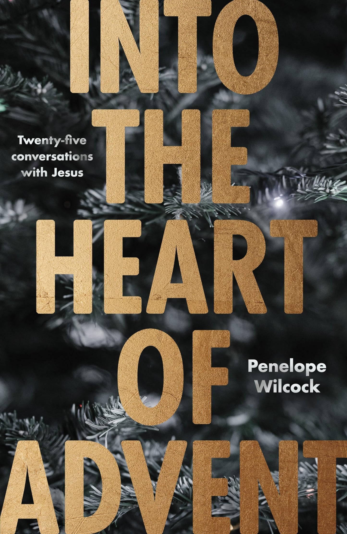 Into the Heart of Advent: Twenty-five Conversations with Jes