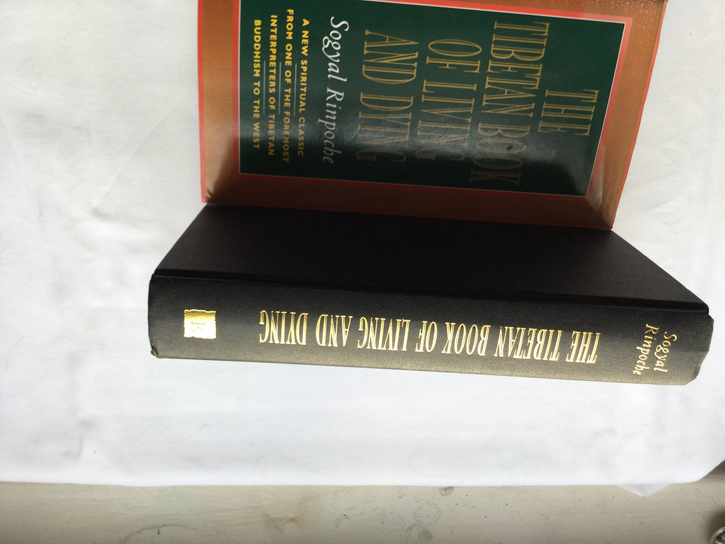 The Tibetan Book of Living and Dying: A New Spiritual Classic