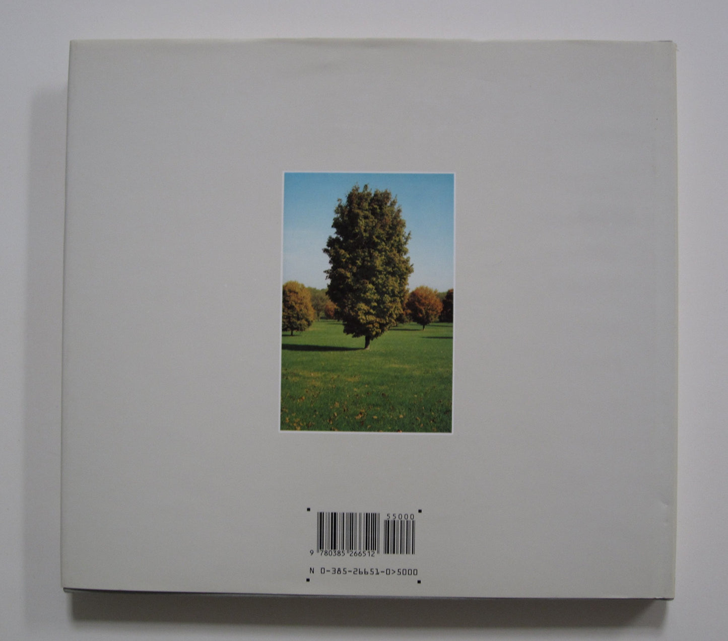 The Democratic Forest by William Eggleston