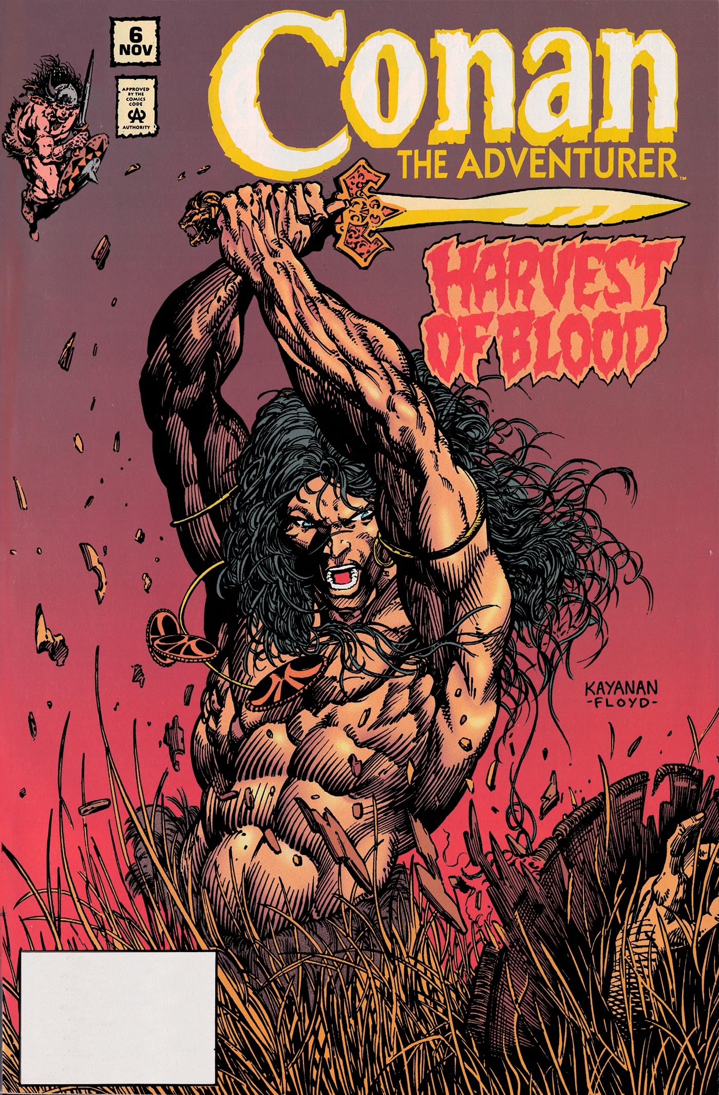 Conan the Adventurer: The Original Comics Years Omnibus Vol. 1 (CONAN THE BARBARIAN OMNIBUS)