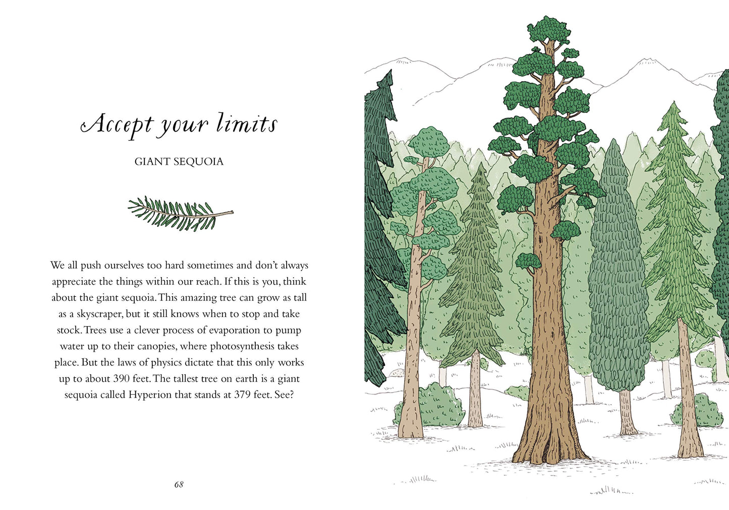 How to Be More Tree: Essential Life Lessons for Perennial Ha