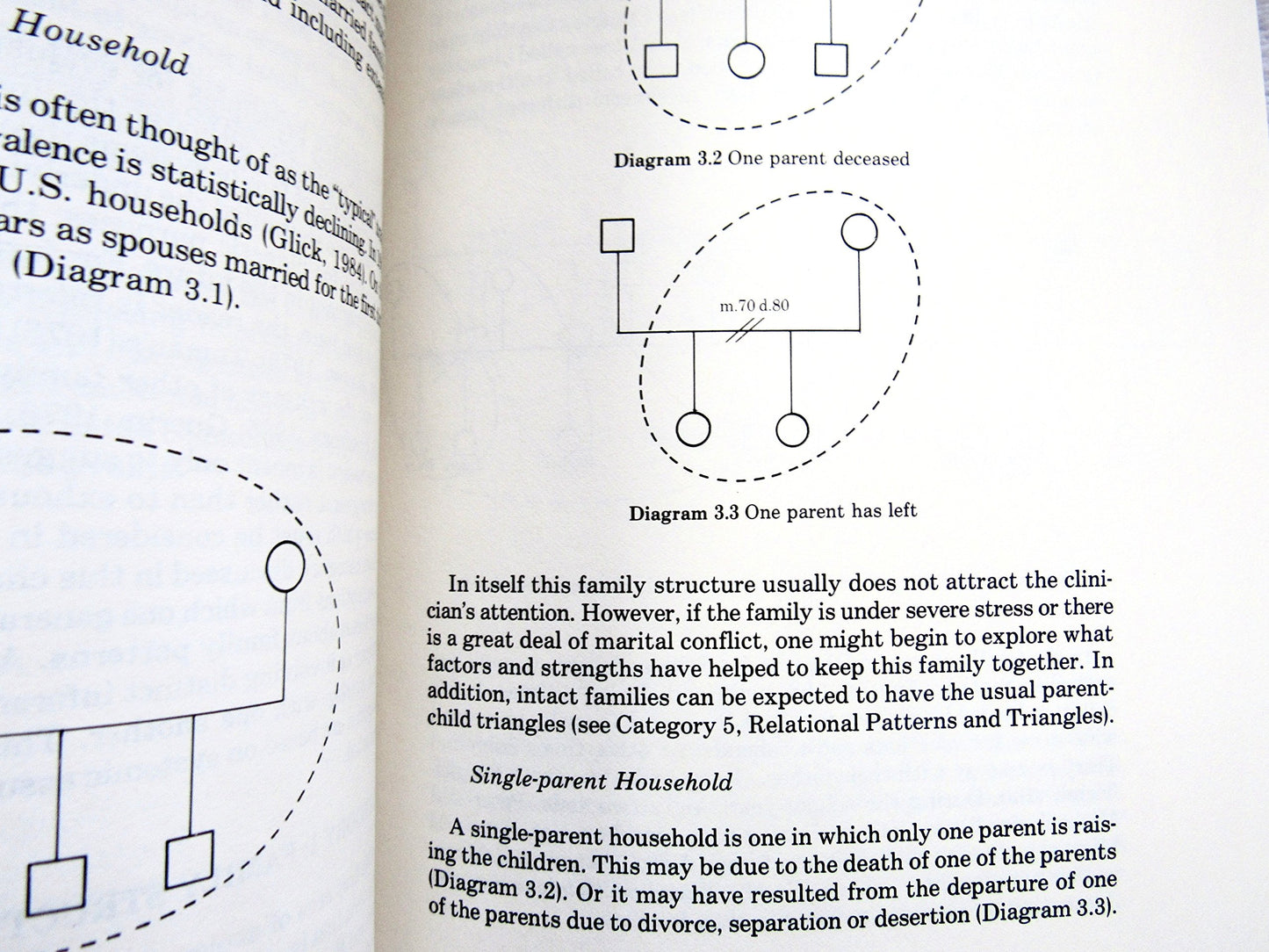 Genograms in Family Assessment