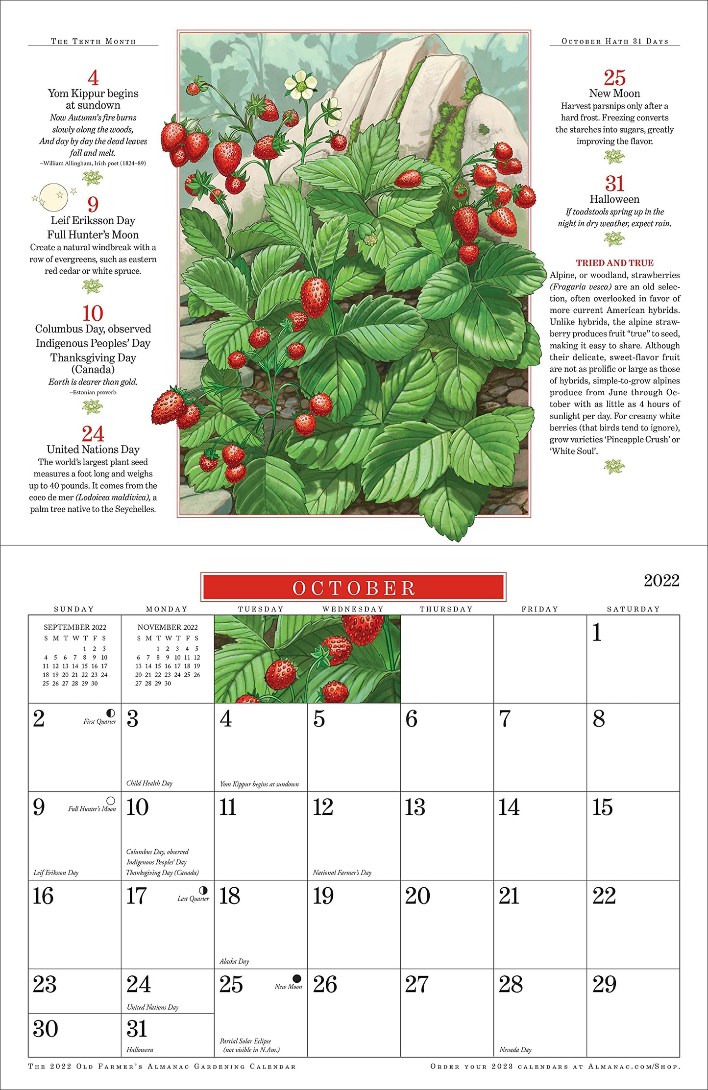 The 2022 Old Farmer's Almanac Gardening Calendar