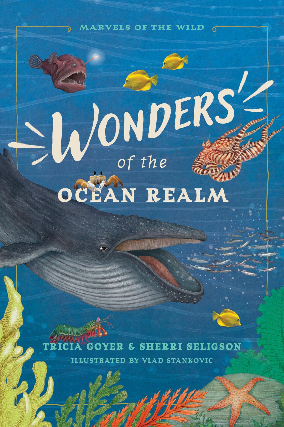 Wonders of the Ocean Realm: 5 Under-the-Sea Tales of Faith and Science for Kids (Marvels of the Wild)