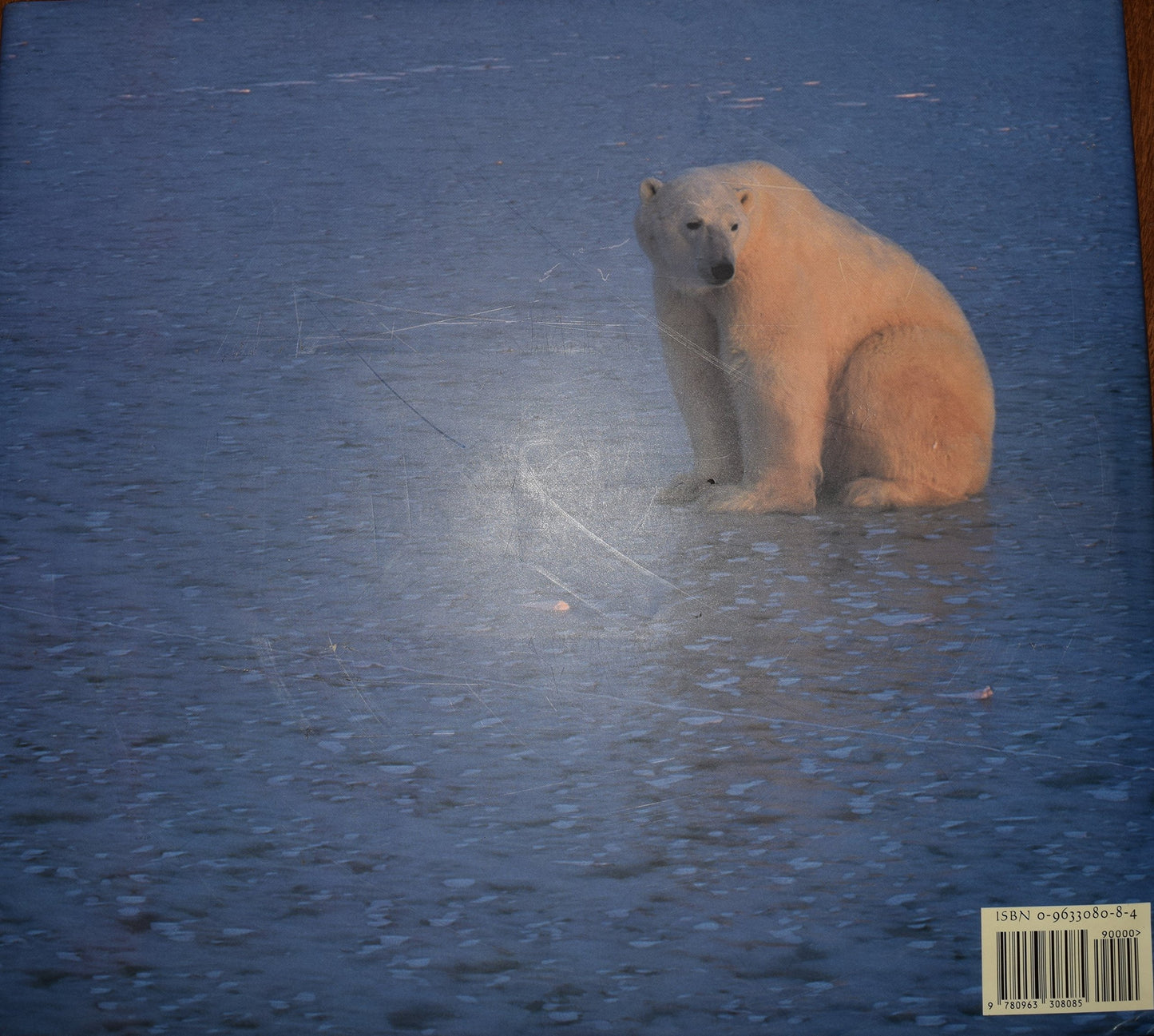 Polar Dance: Born of the North Wind