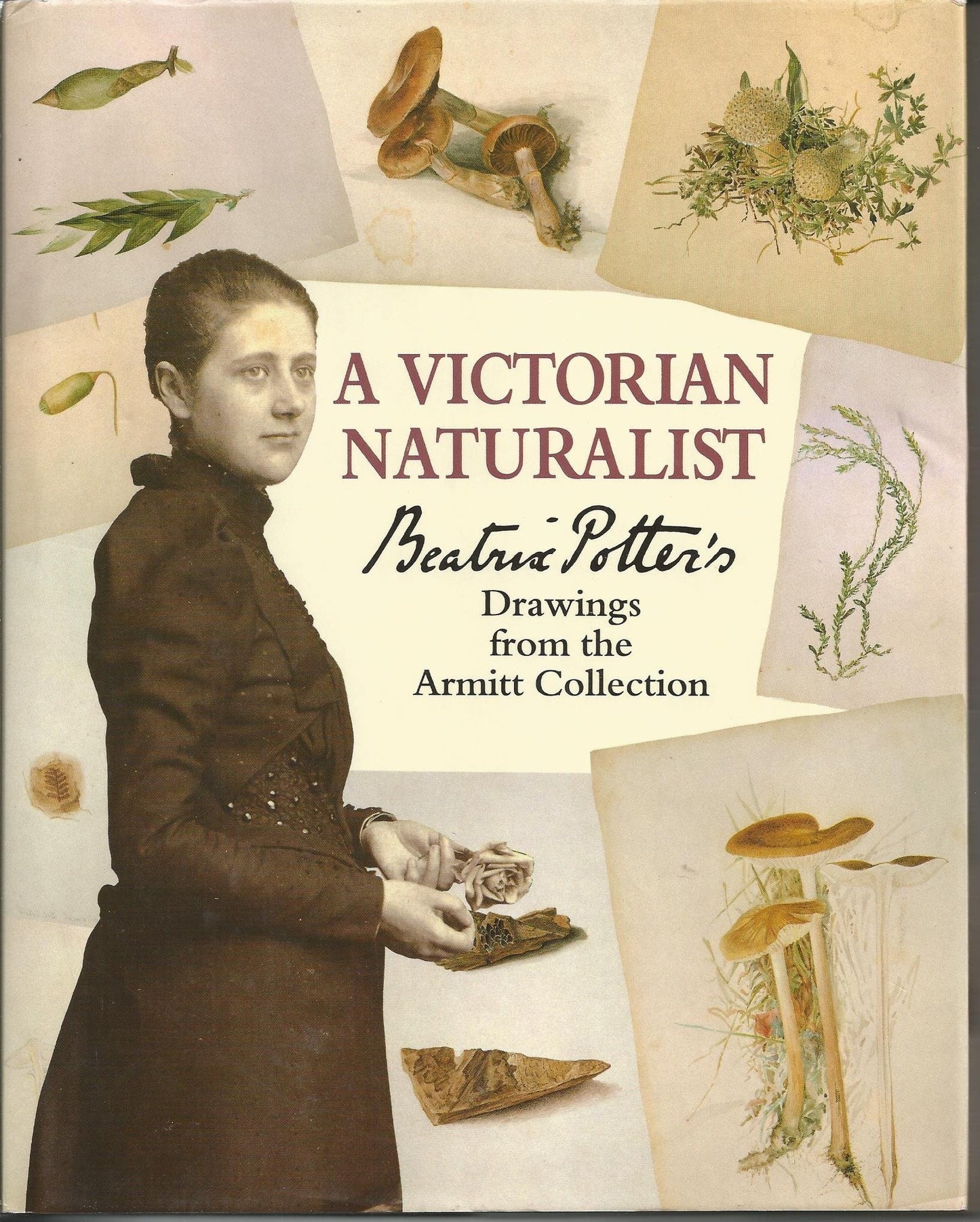 A Victorian Naturalist: Beatrix Potter's Drawings from the A