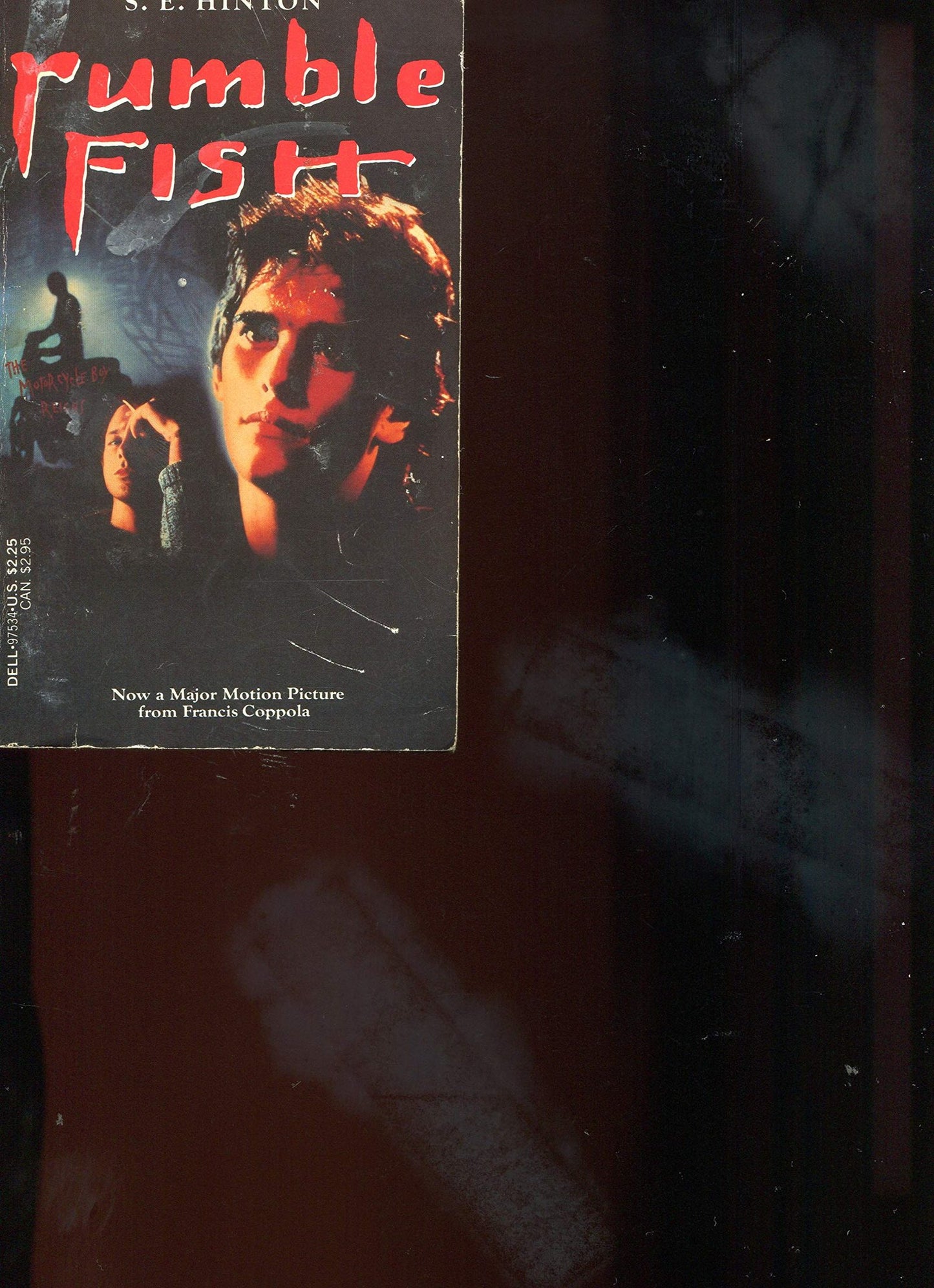 Rumble Fish by Hinton, S.E.