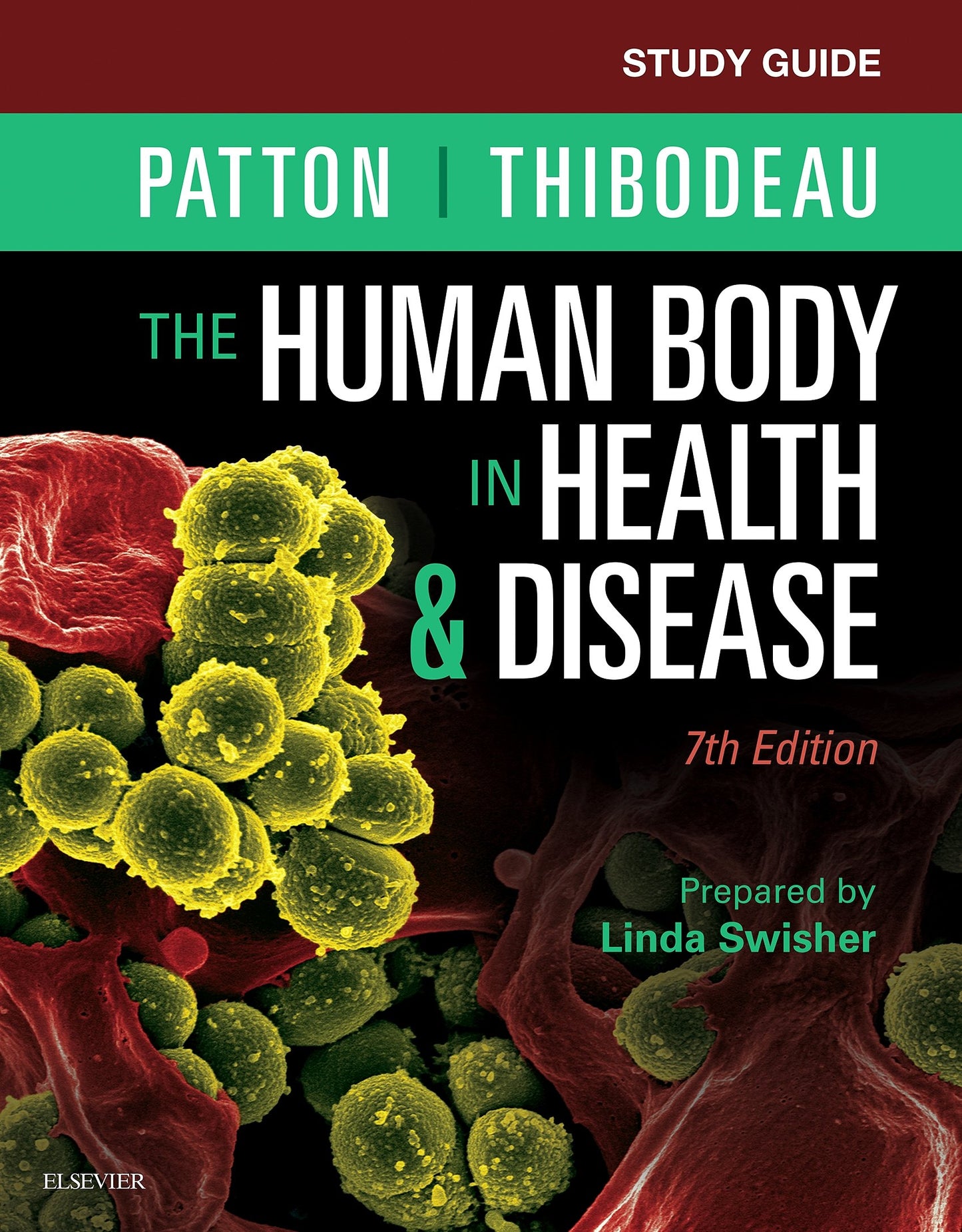 Study Guide for The Human Body in Health & Disease by Patton