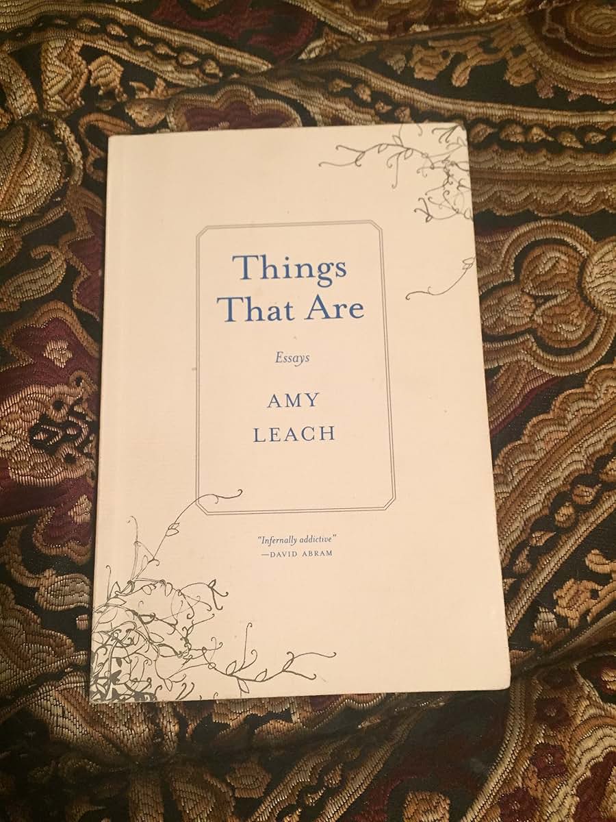 Things That Are: Essays
