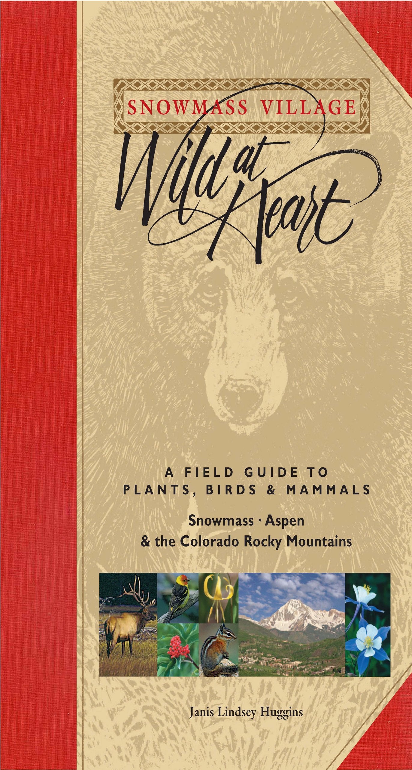 Snowmass Village - Wild at Heart: A Field Guide to Plants, Birds & Mammals, Snowmass - Aspen & the Colorado Rocky Mountains