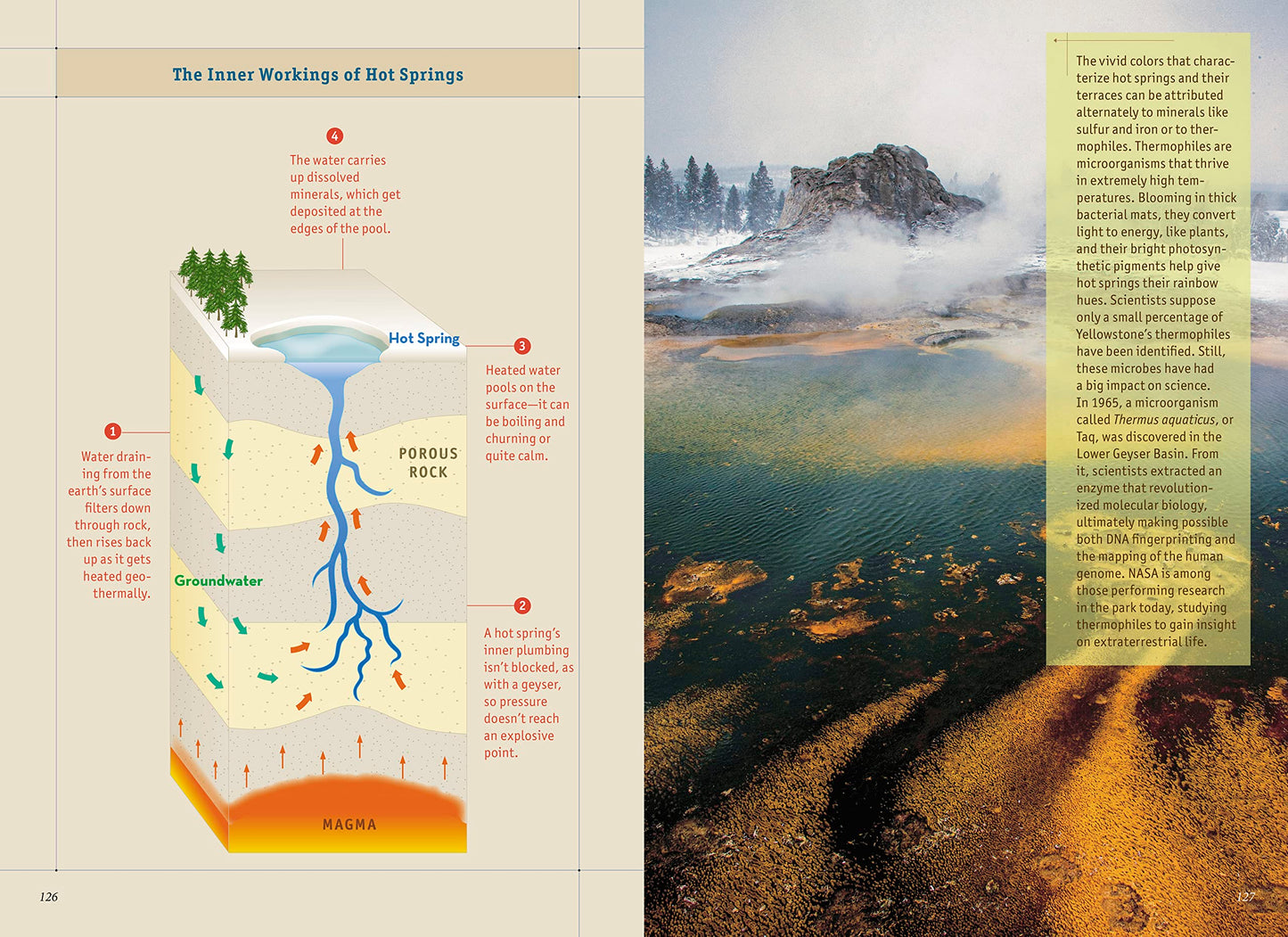 Compass American Guides: Yellowstone and Grand Teton National Parks (Full-color Travel Guide)