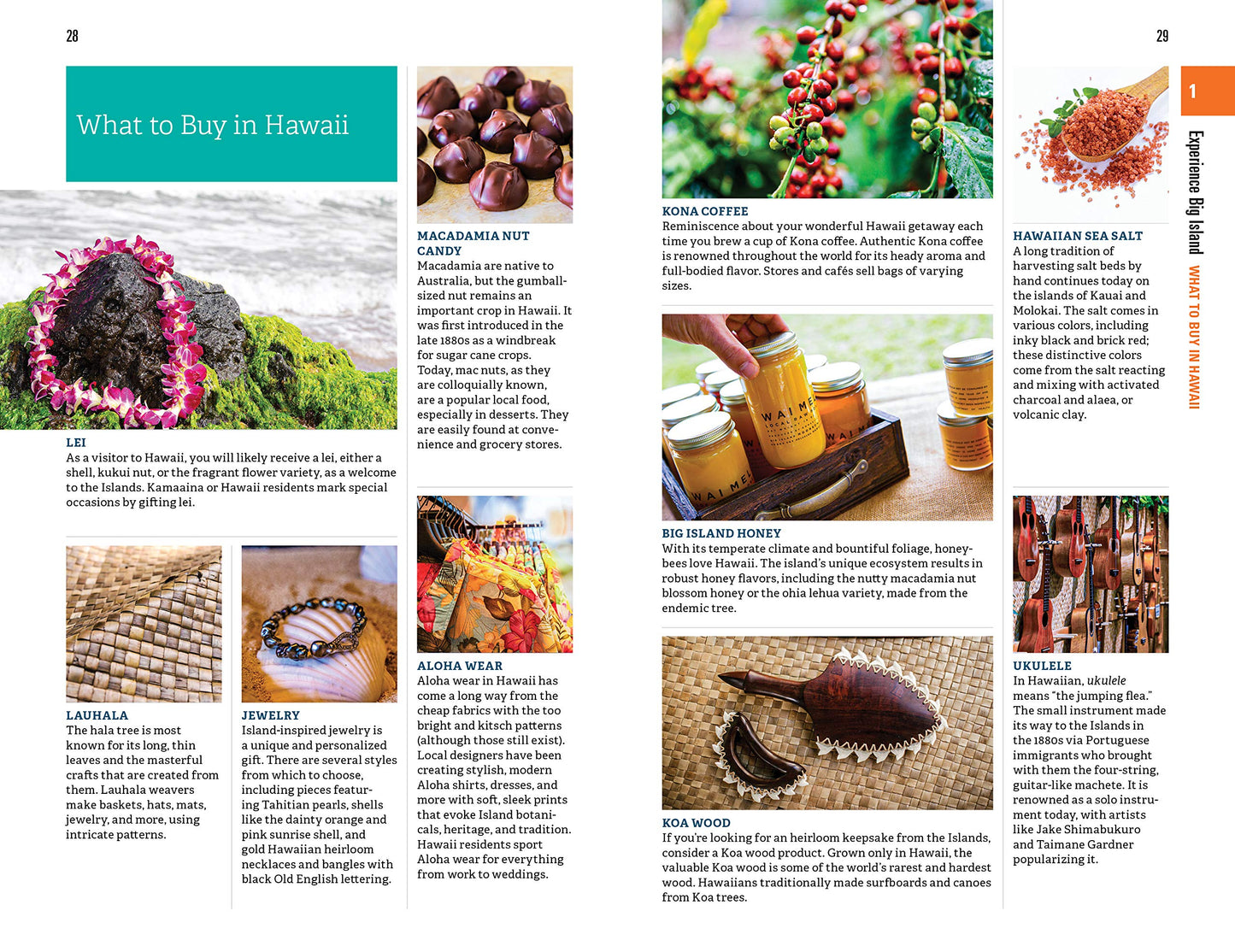Fodor's Big Island of Hawaii (Full-color Travel Guide)