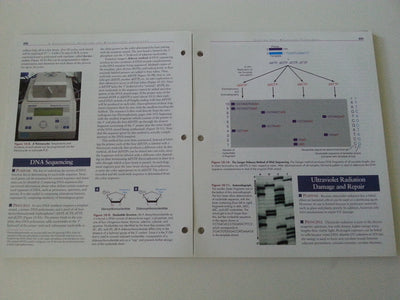 A Photographic Atlas for the Microbiology Laboratory