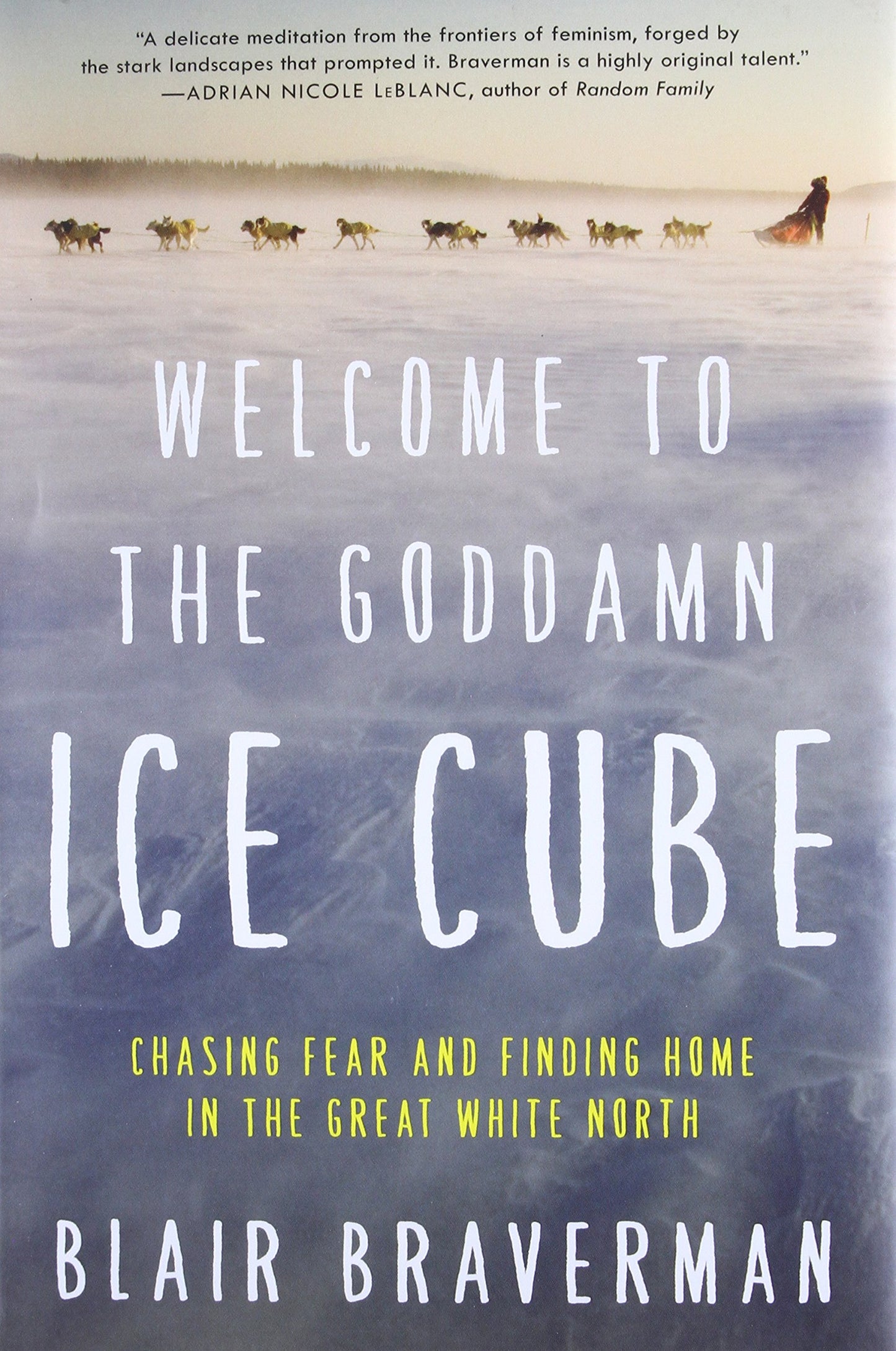Welcome to the Goddamn Ice Cube: Chasing Fear and Finding Ho
