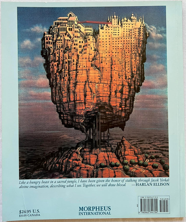 Minds Fields — back cover