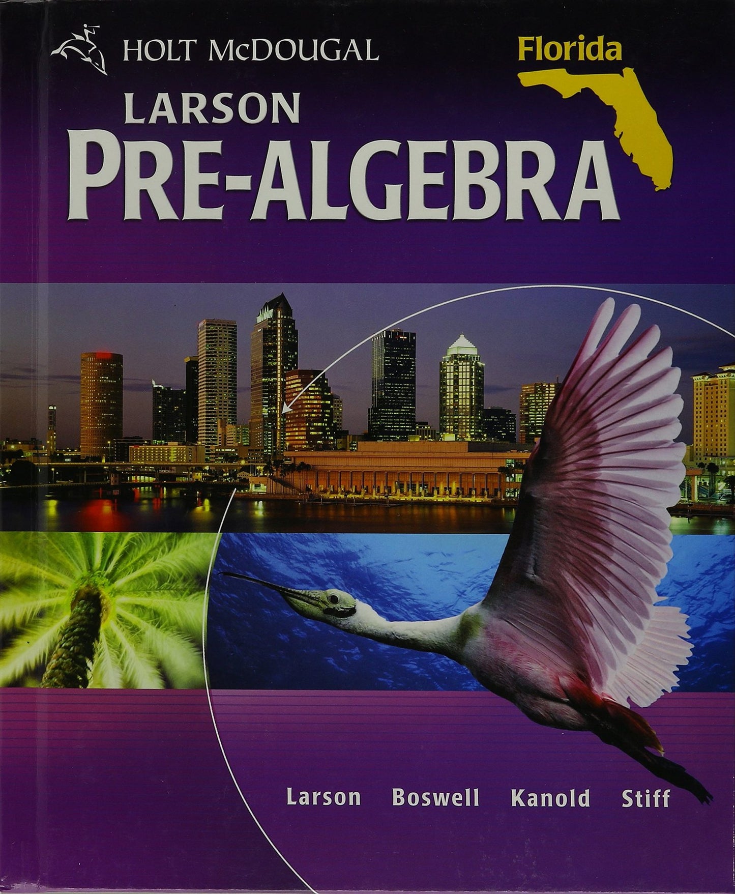 Holt McDougal Pre-Algebra: Student Edition 2011
