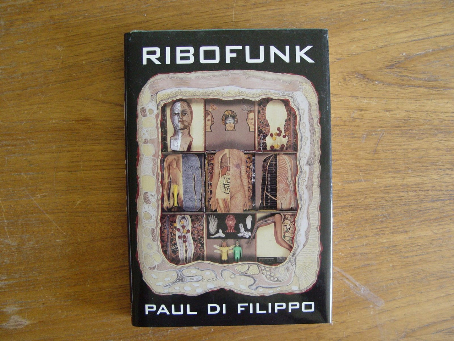 Ribofunk (Di Filippo, Paul)
