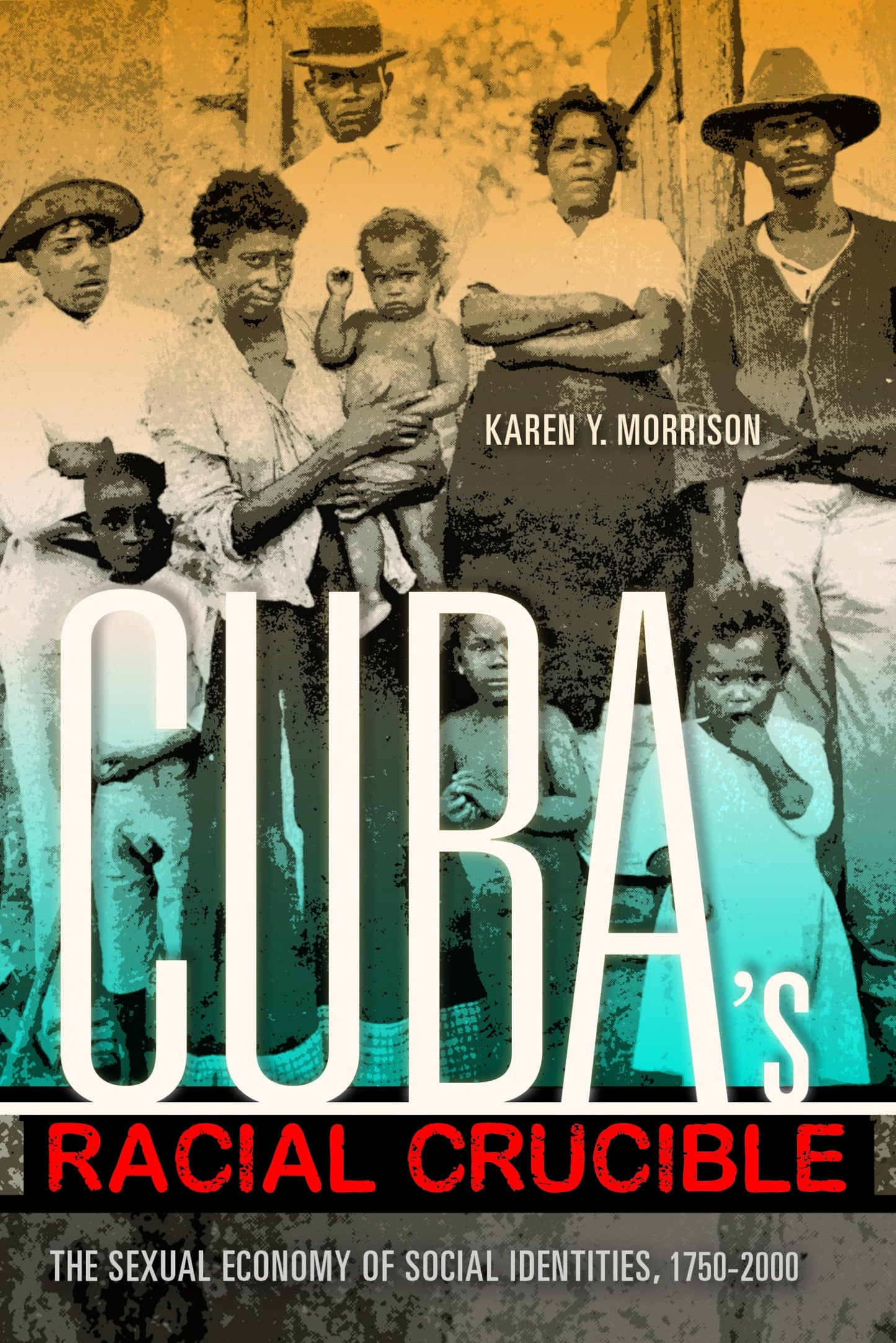 Cuba's Racial Crucible: The Sexual Economy of Social Identities, 1750-2000 (Blacks in the Diaspora)
