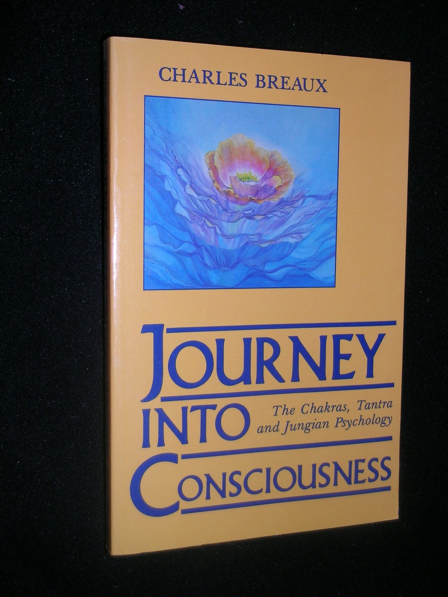 Journey into Consciousness: The Chakras, Tantra and Jungian Psychology