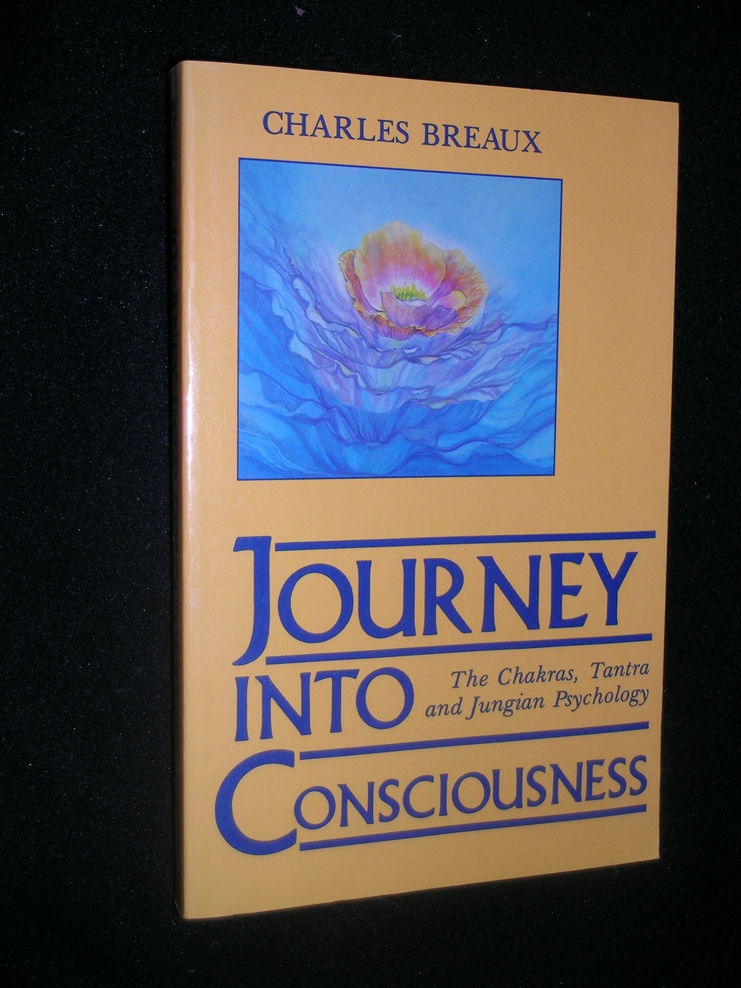Journey into Consciousness: The Chakras, Tantra and Jungian Psychology
