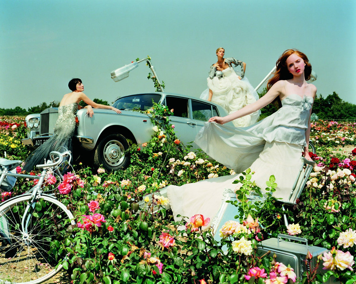 Tim Walker Pictures (Alternative edition)