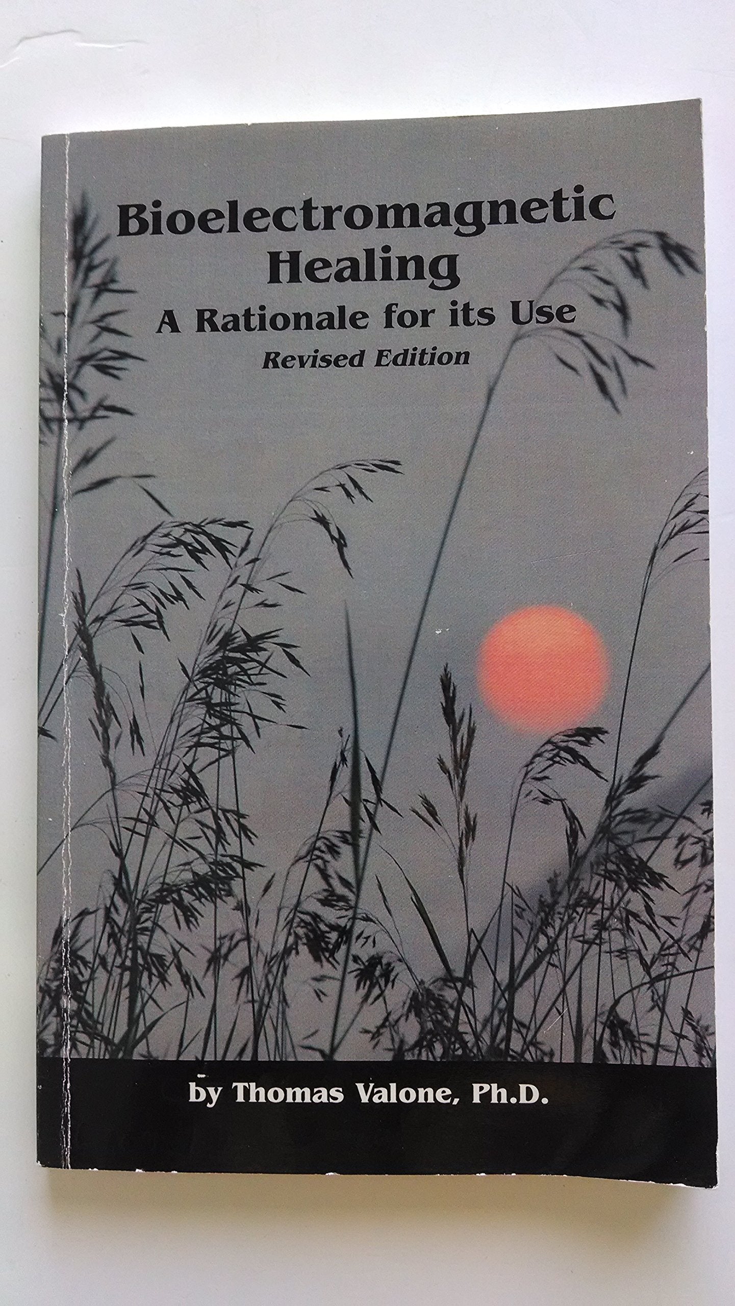 Bioelectromagnetic Healing: A Rationale for its Use
