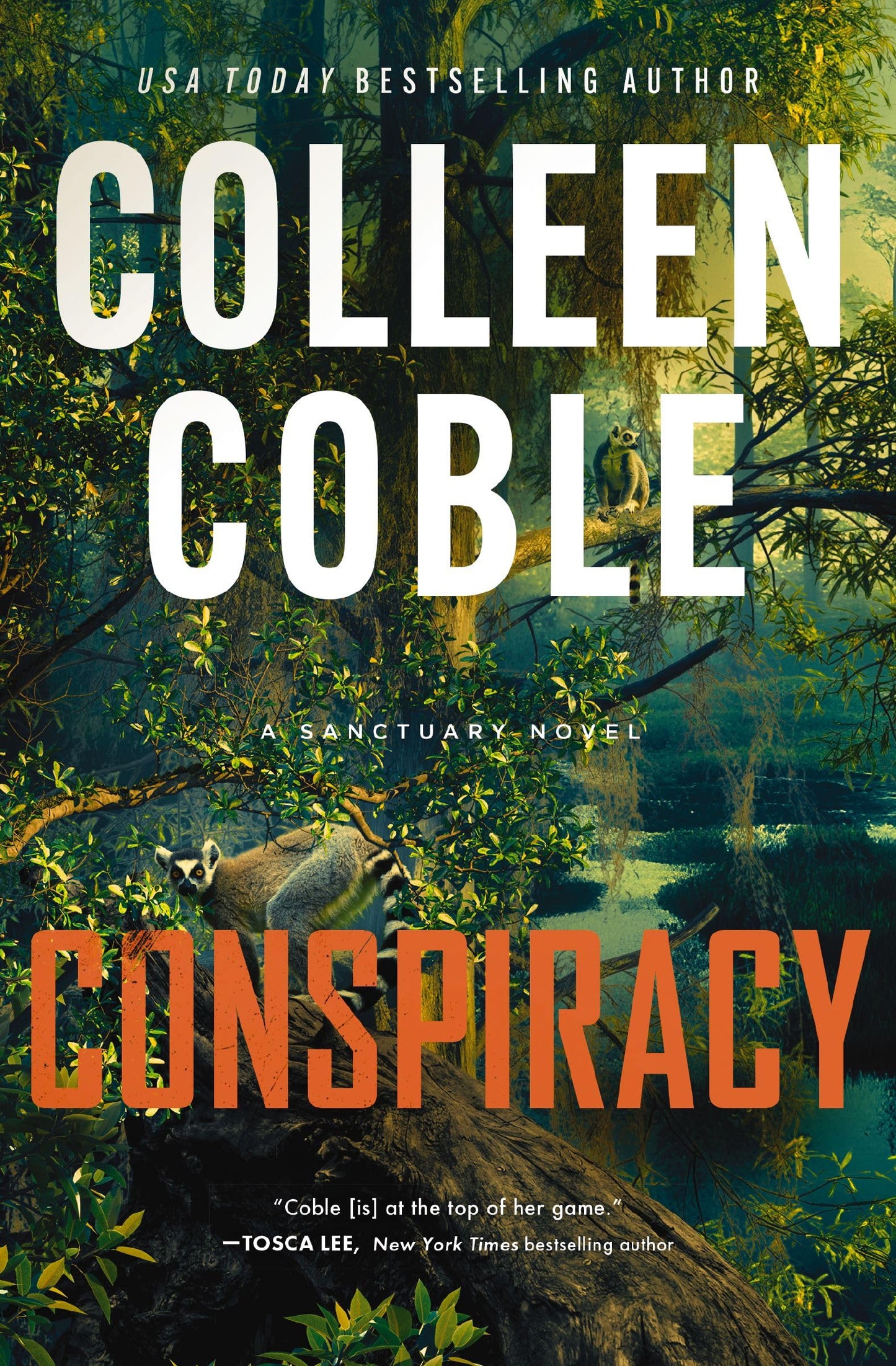 Conspiracy: A Novel (A Sanctuary Novel)