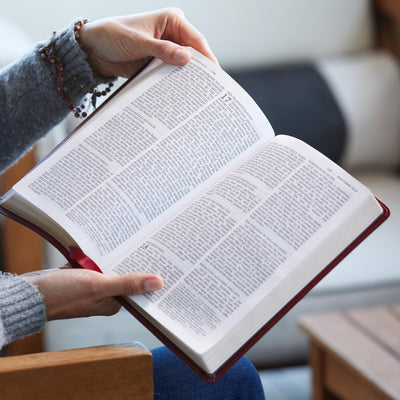 NRSV Large Print Standard Catholic Bible, Red Leathersoft (Comfort Print, Holy Bible, Complete Catholic Bible, NRSV CE): Holy Bible