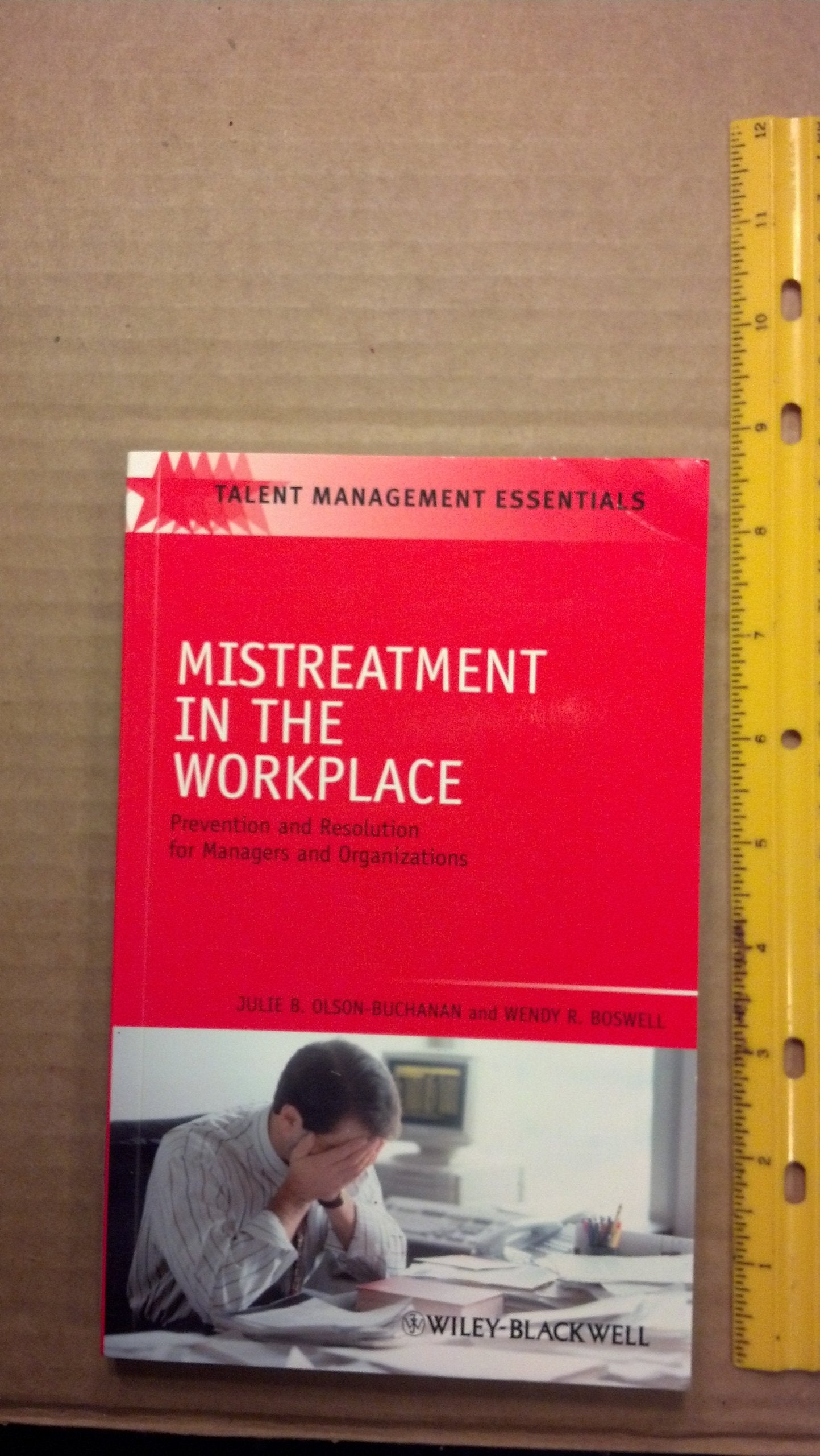 Mistreatment in the Workplace: Prevention and Resolution for Managers and Organizations