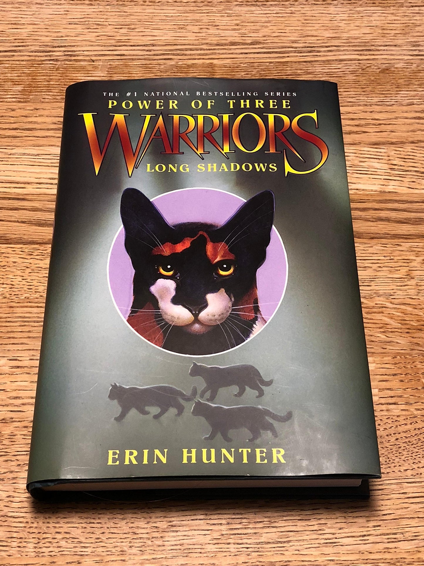 Warriors: Power of Three #5: Long Shadows