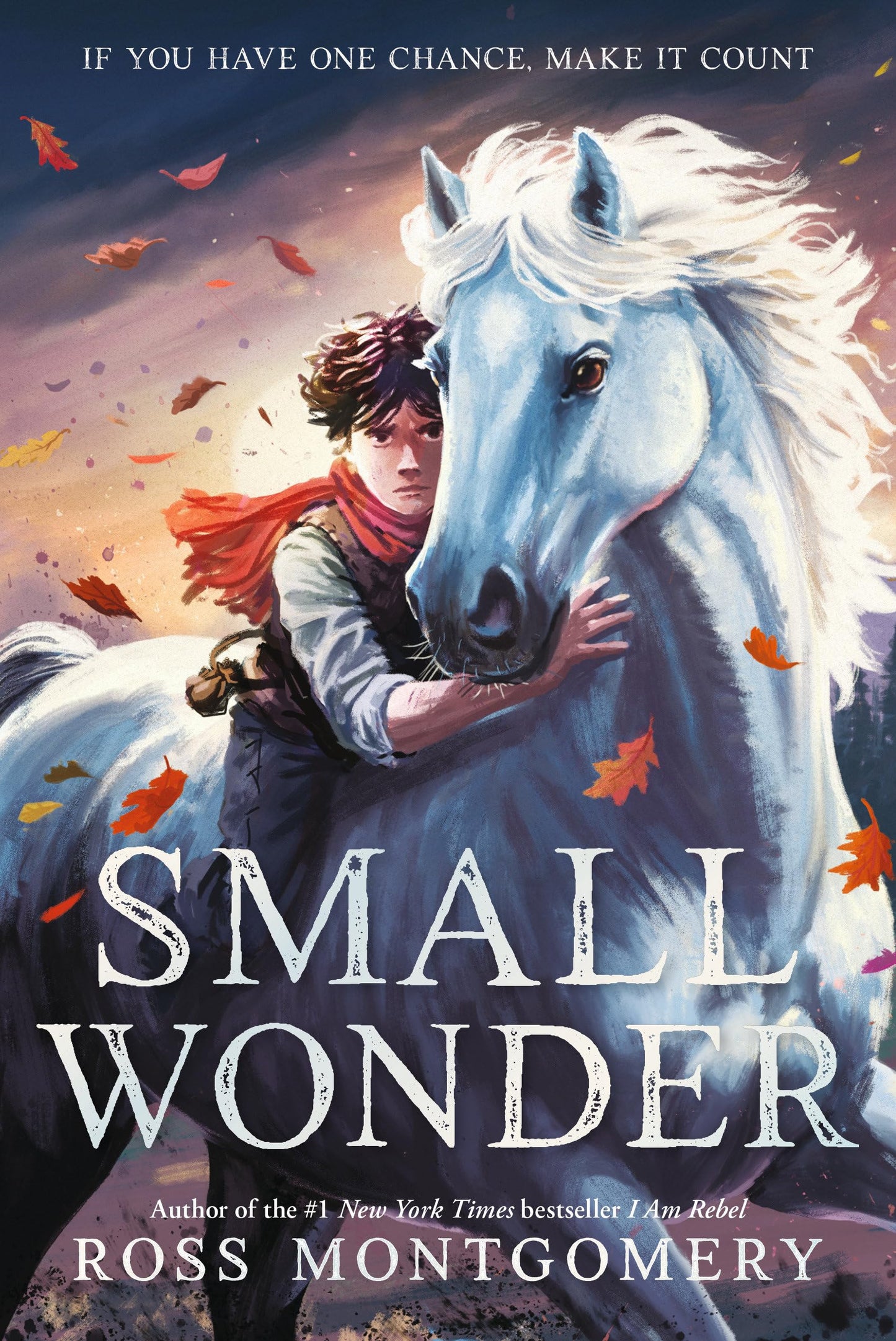 Small Wonder