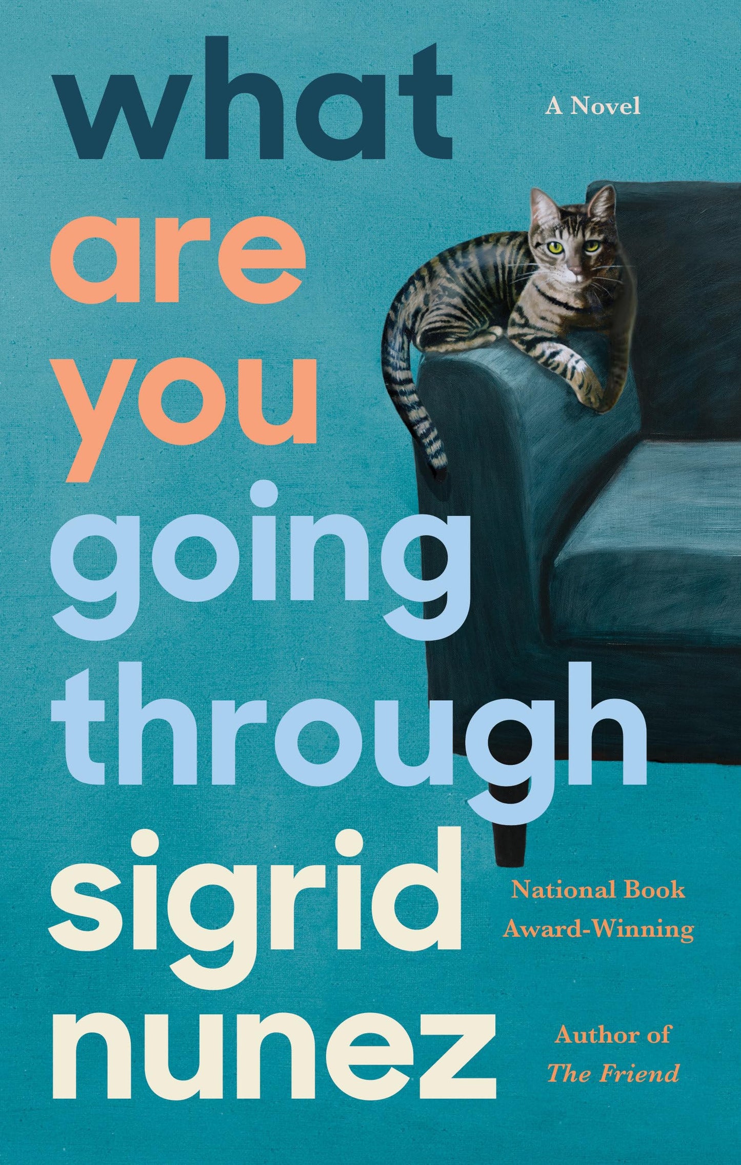 What Are You Going Through: A Novel by Nunez, Sigrid