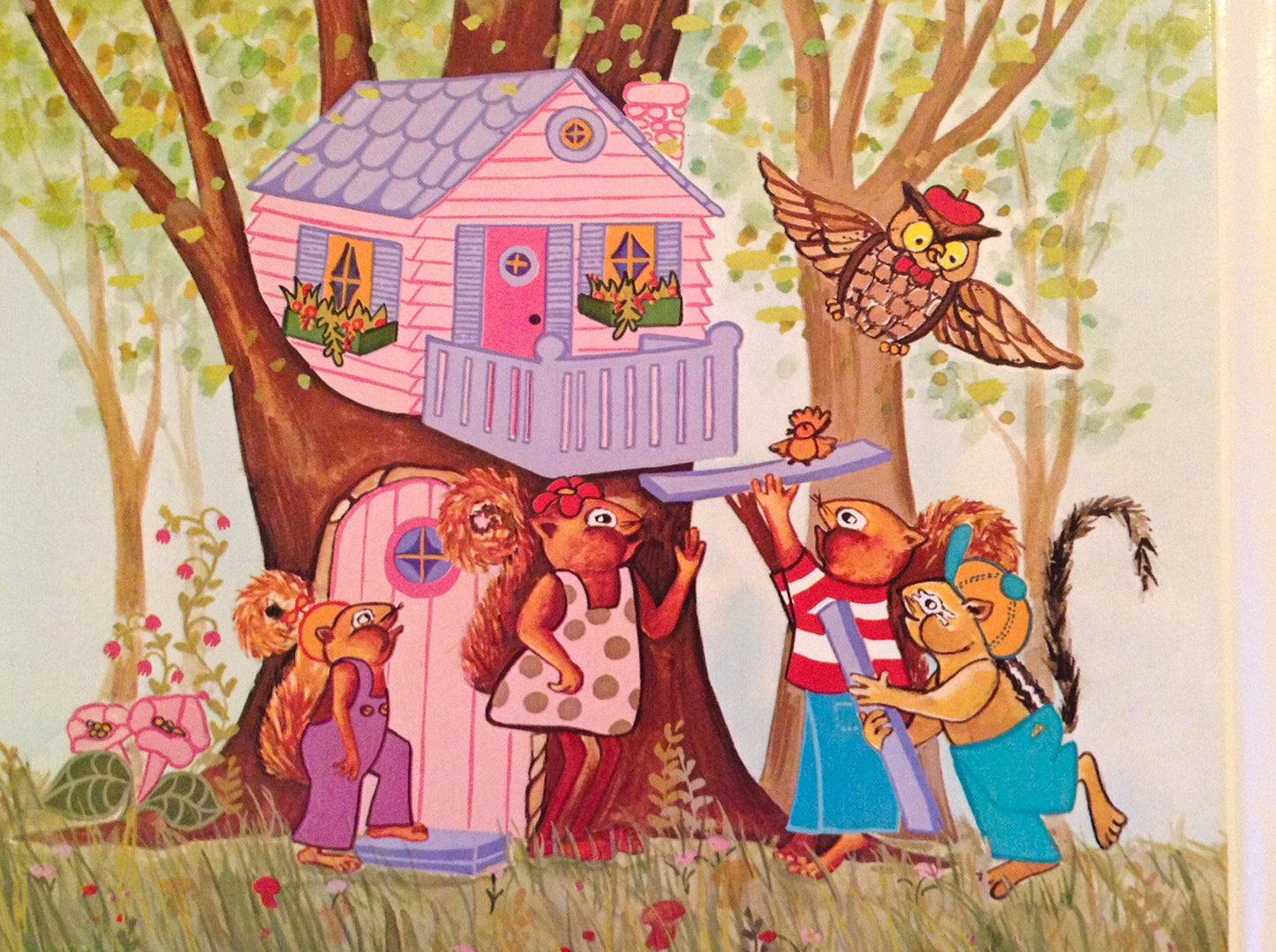 The house in the hole in the side of the tree,