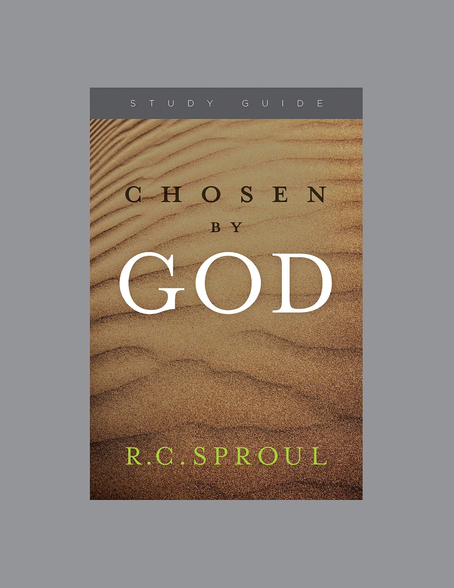 Chosen by God, Teaching Series Study Guide