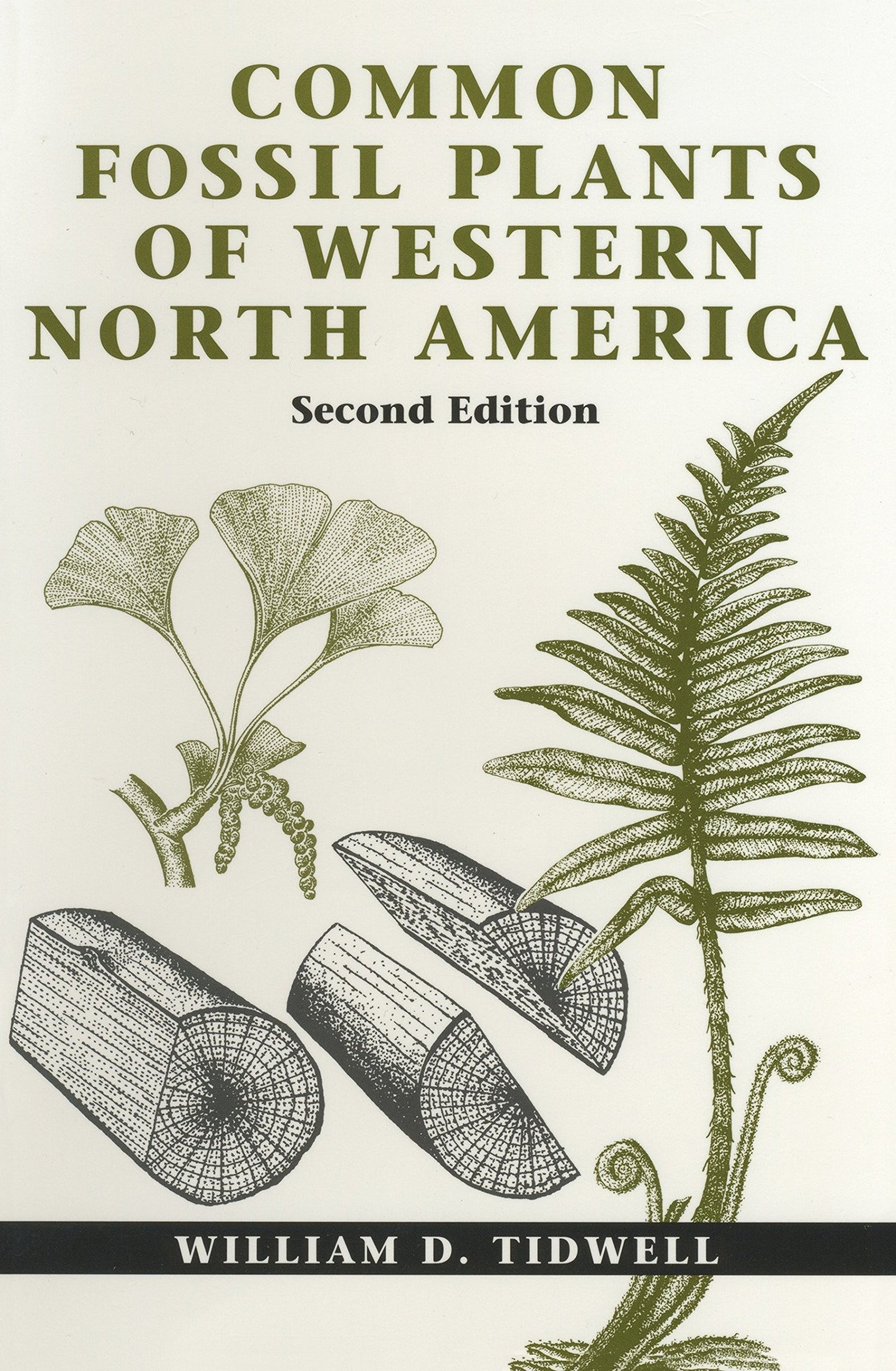 Common Fossil Plants of Western North America