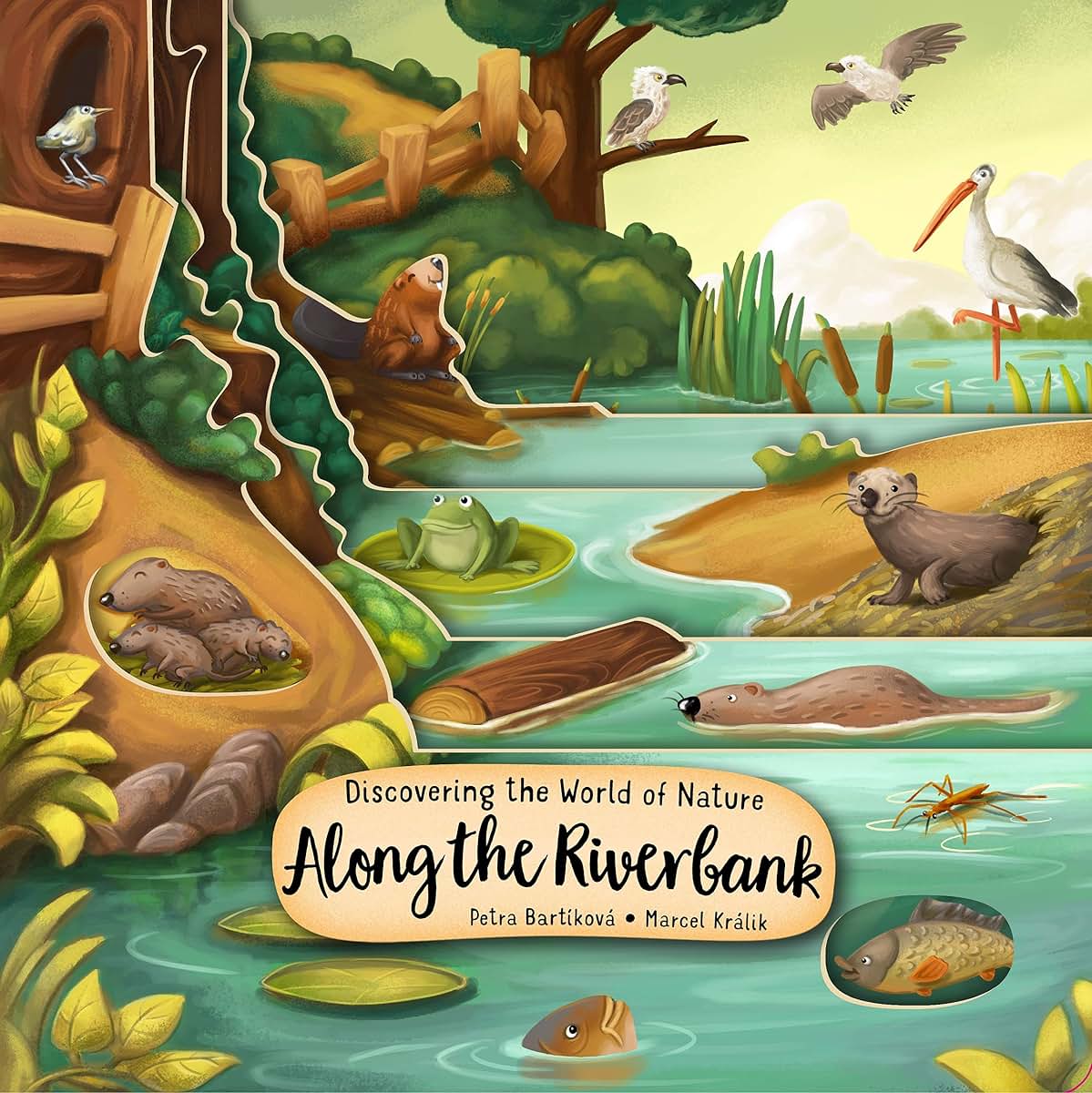 Discovering the World of Nature Along the Riverbank (Happy Fox Books) Board Book for Kids Ages 3-6 to Learn About Animals Living In, Near, or Under Water, plus Fun and Educational Facts (Peek Inside)