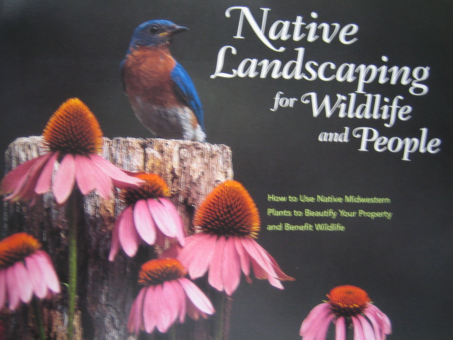 Native landscaping for wildlife and people: How to use native midwestern plants to beautify your property and benefit wildlife