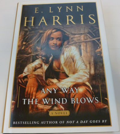 Any Way the Wind Blows: A Novel