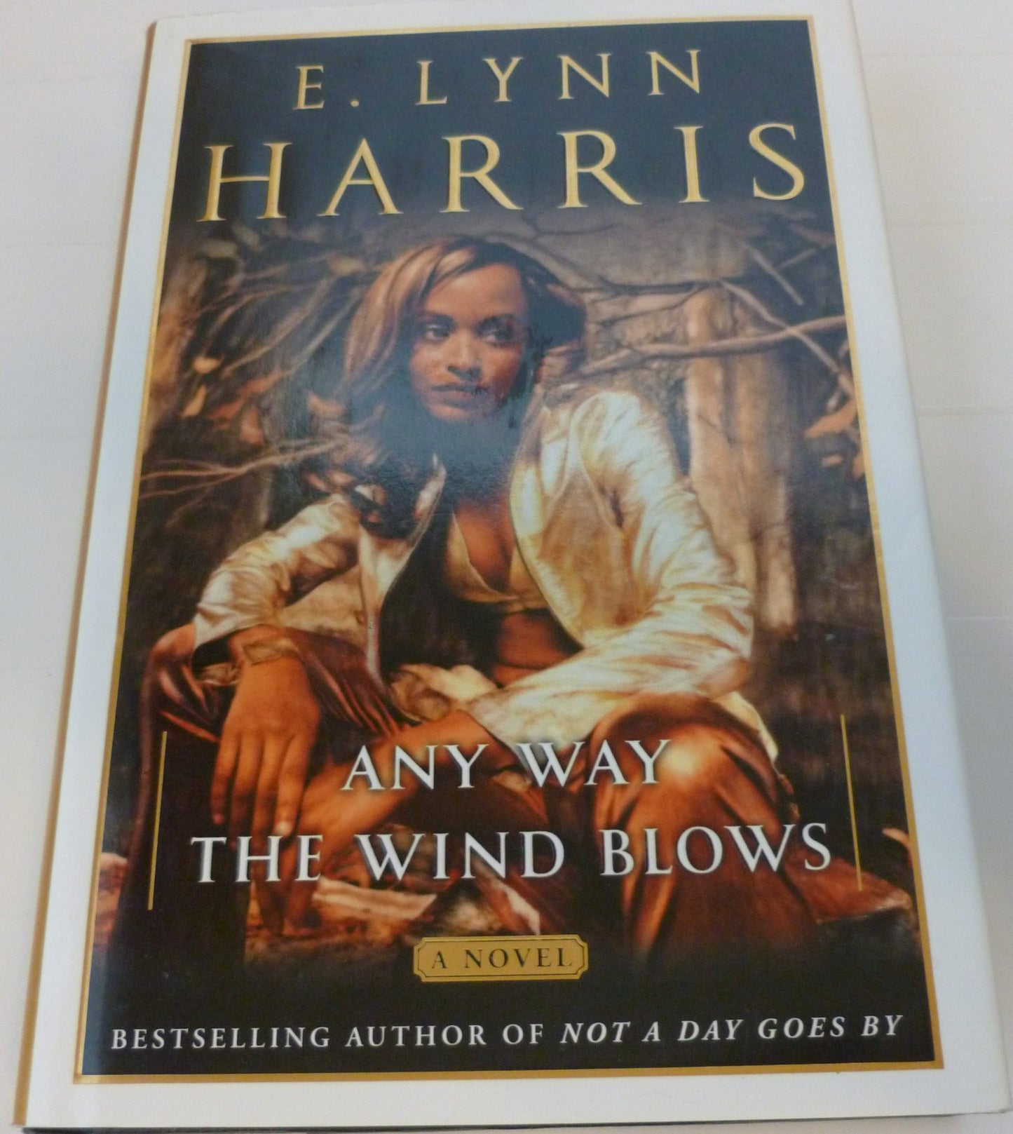 Any Way the Wind Blows: A Novel