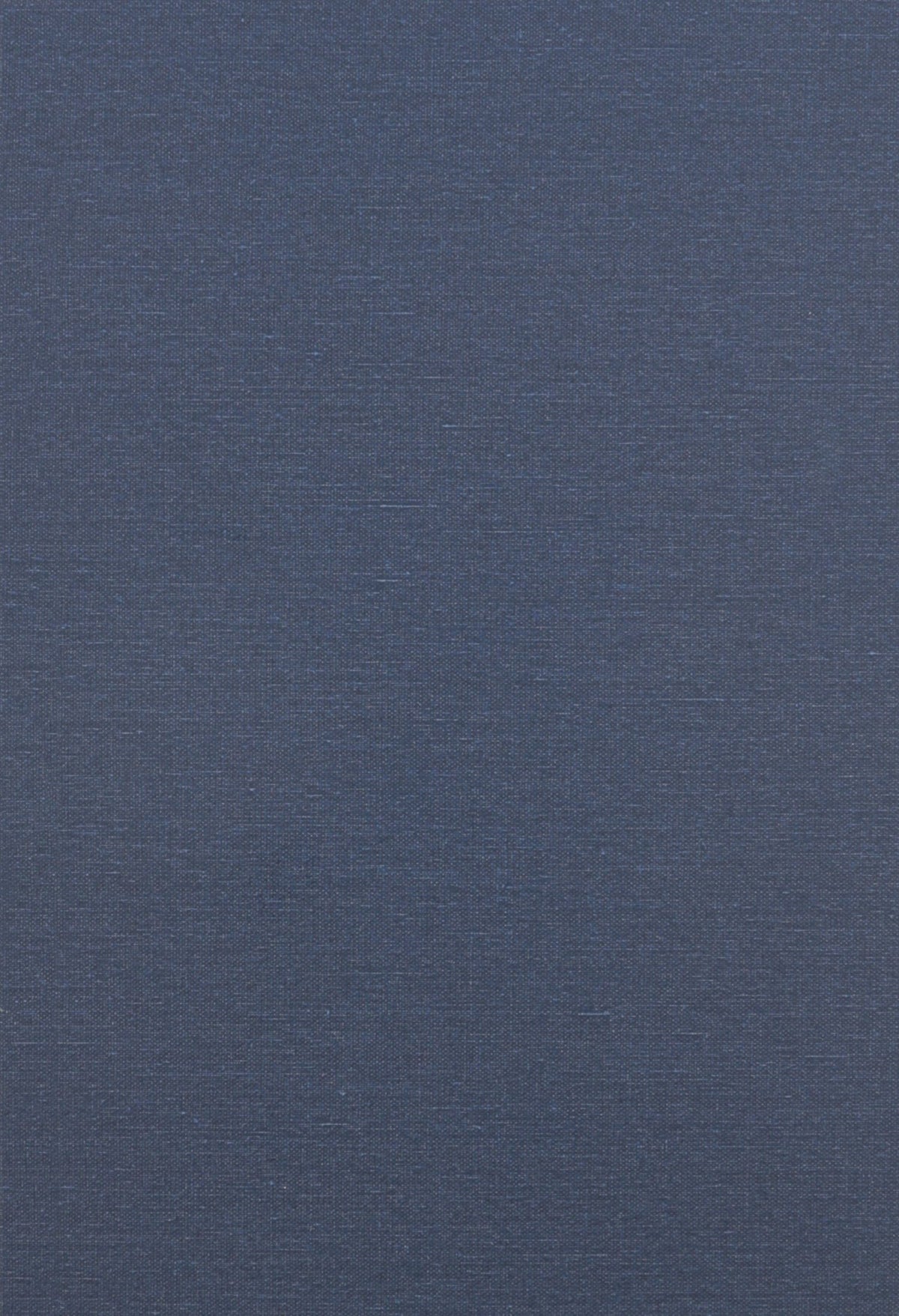 Movement and Institution (European Perspectives S)