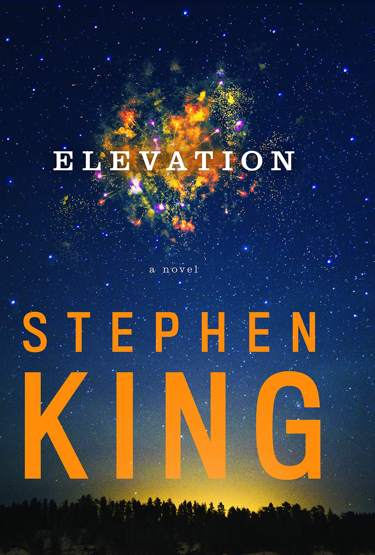 Elevation (Thorndike Press Large Print Core) by Stephen King